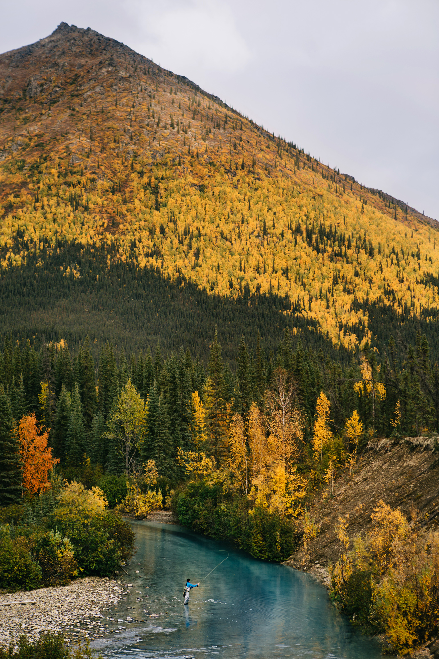 CindyGiovagnoli_Alaska_KoyukukRiver_SukakpakMountain_JimRiver_ArcticCircle_fly_fishing_September-055.jpg