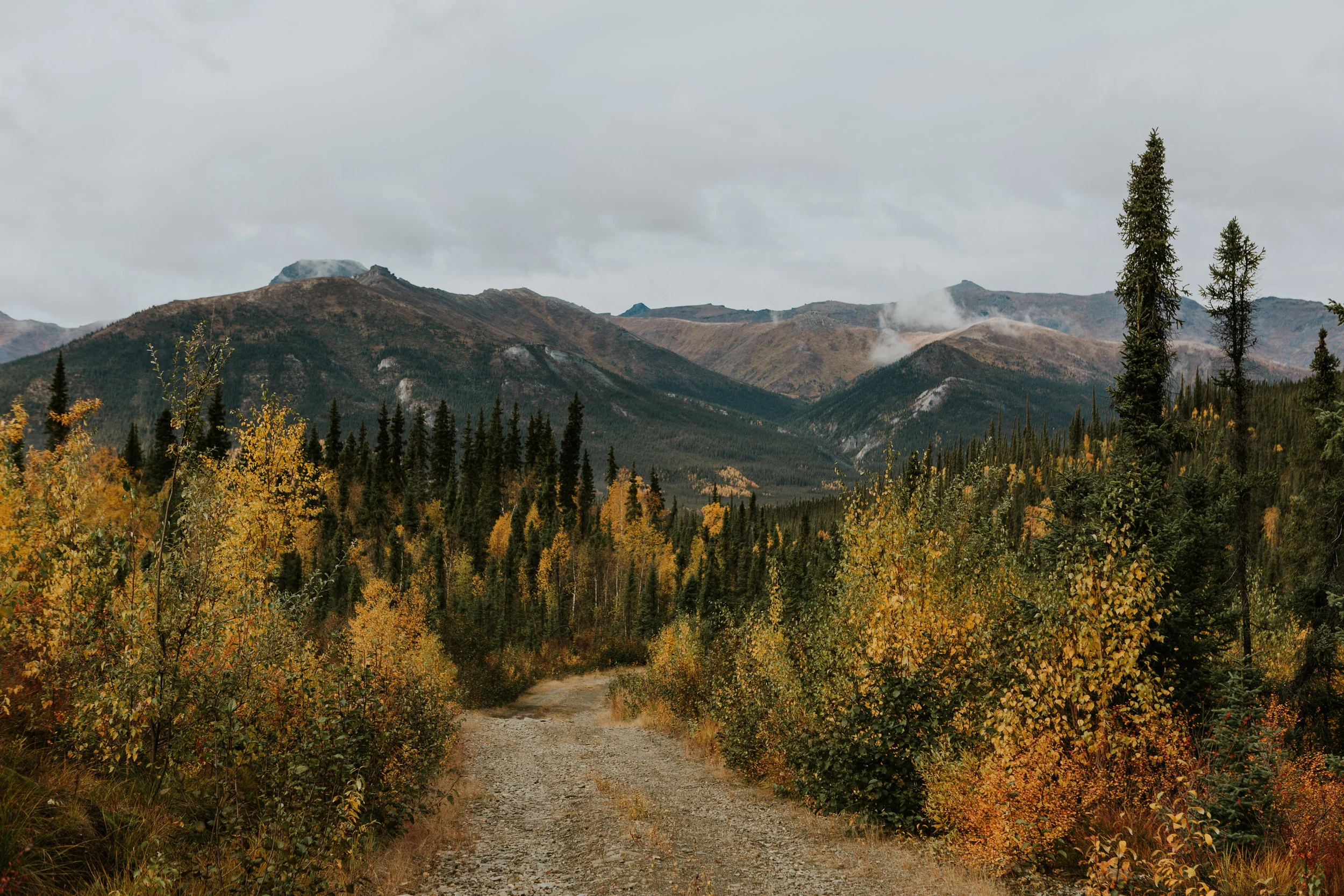 CindyGiovagnoli_Alaska_KoyukukRiver_SukakpakMountain_JimRiver_ArcticCircle_fly_fishing_September-057.jpg