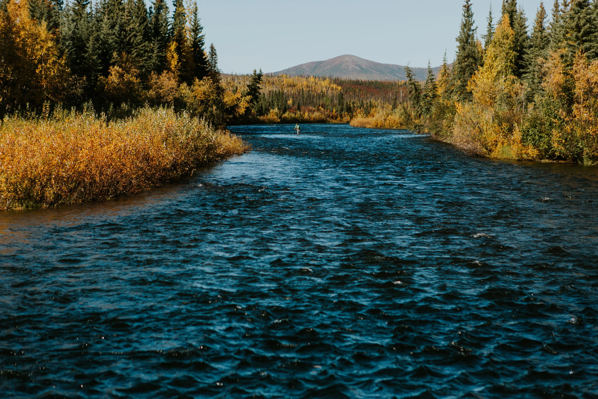 CindyGiovagnoli_Alaska_KoyukukRiver_SukakpakMountain_JimRiver_ArcticCircle_fly_fishing_September-061.jpg