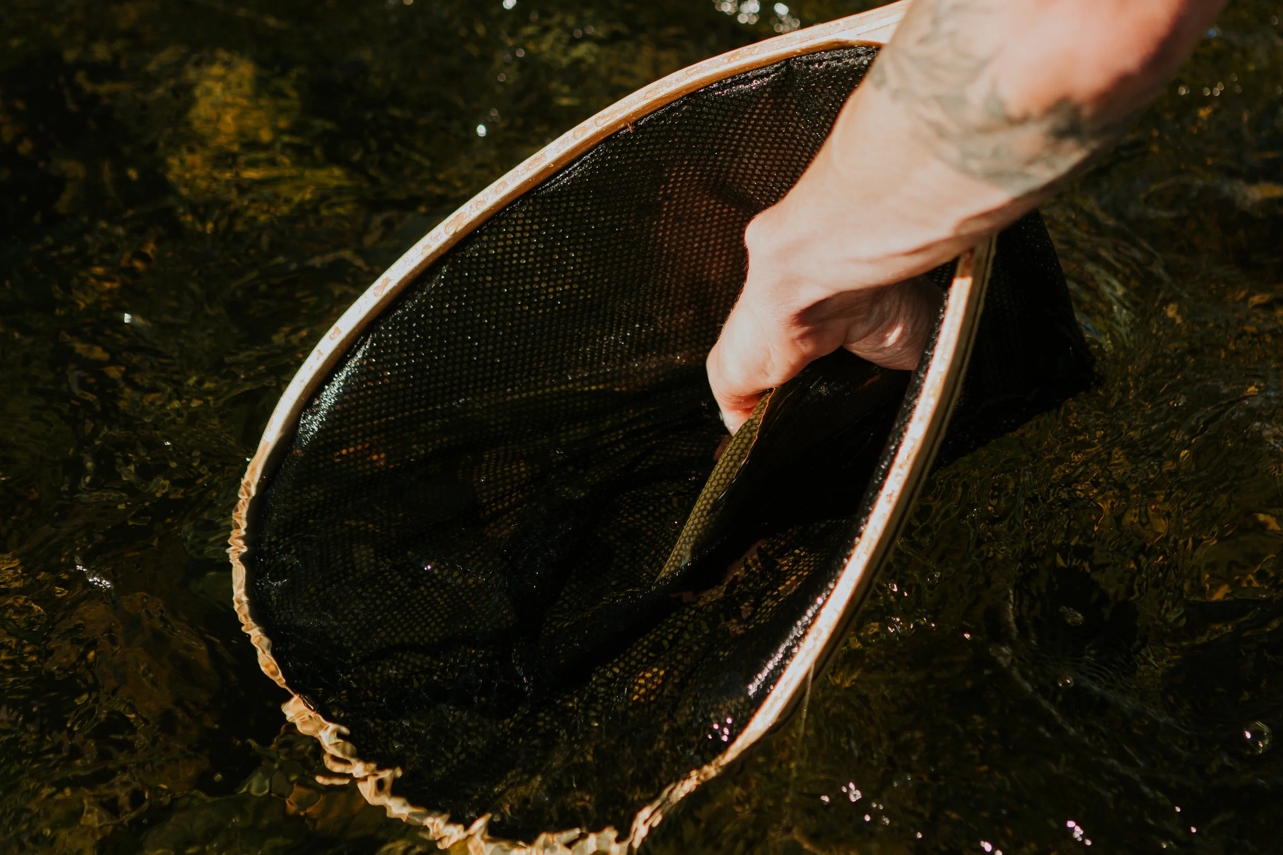 CindyGiovagnoli_Alaska_KoyukukRiver_SukakpakMountain_JimRiver_ArcticCircle_fly_fishing_September-064.jpg