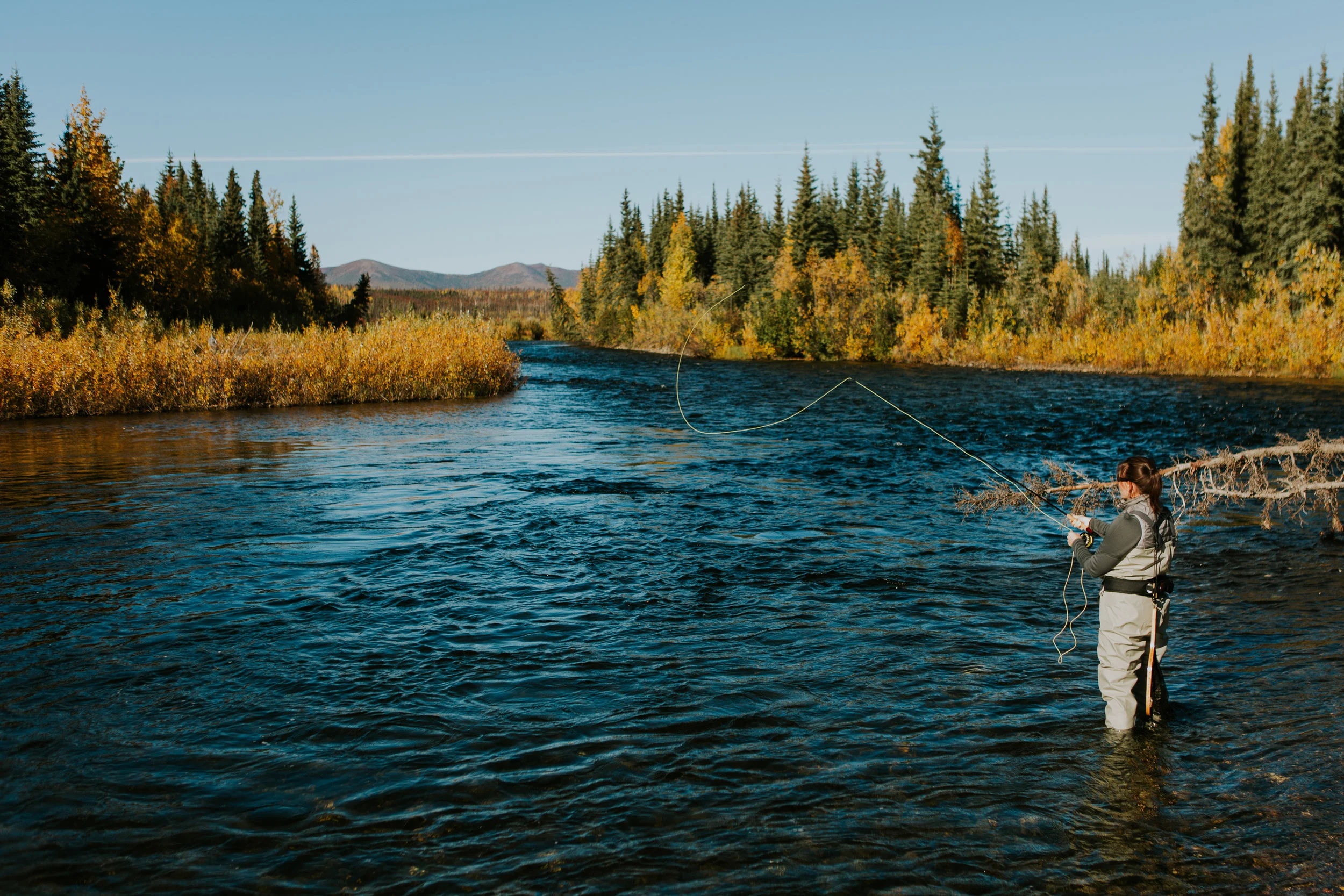 CindyGiovagnoli_Alaska_KoyukukRiver_SukakpakMountain_JimRiver_ArcticCircle_fly_fishing_September-063.jpg