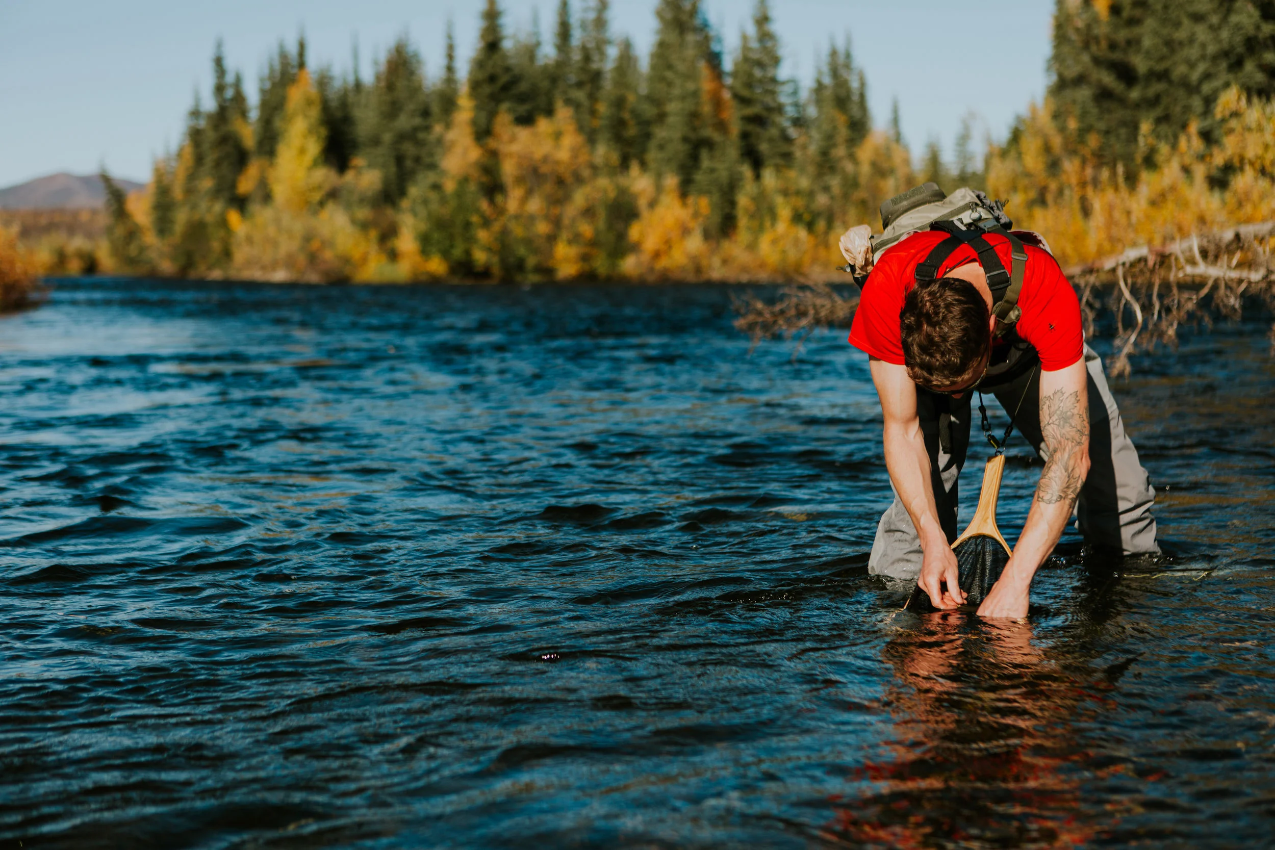 CindyGiovagnoli_Alaska_KoyukukRiver_SukakpakMountain_JimRiver_ArcticCircle_fly_fishing_September-067.jpg