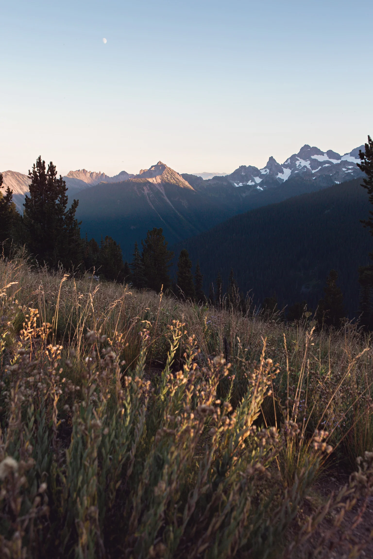 CindyGiovagnoli_MountRainierNationalPark_Washington_Seattle_PNW-010.jpg