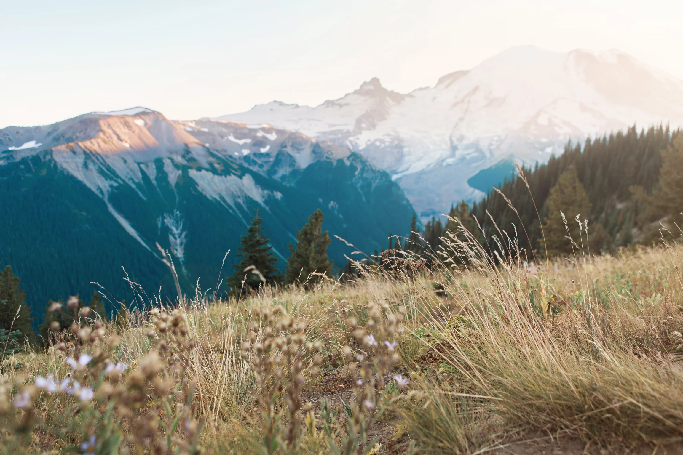 CindyGiovagnoli_MountRainierNationalPark_Washington_Seattle_PNW-011.jpg