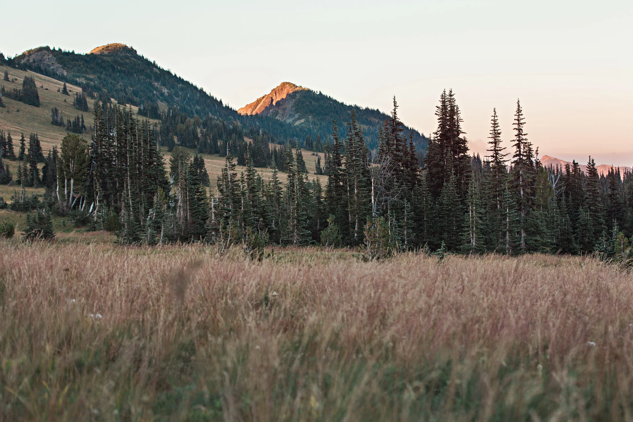 CindyGiovagnoli_MountRainierNationalPark_Washington_Seattle_PNW-014.jpg
