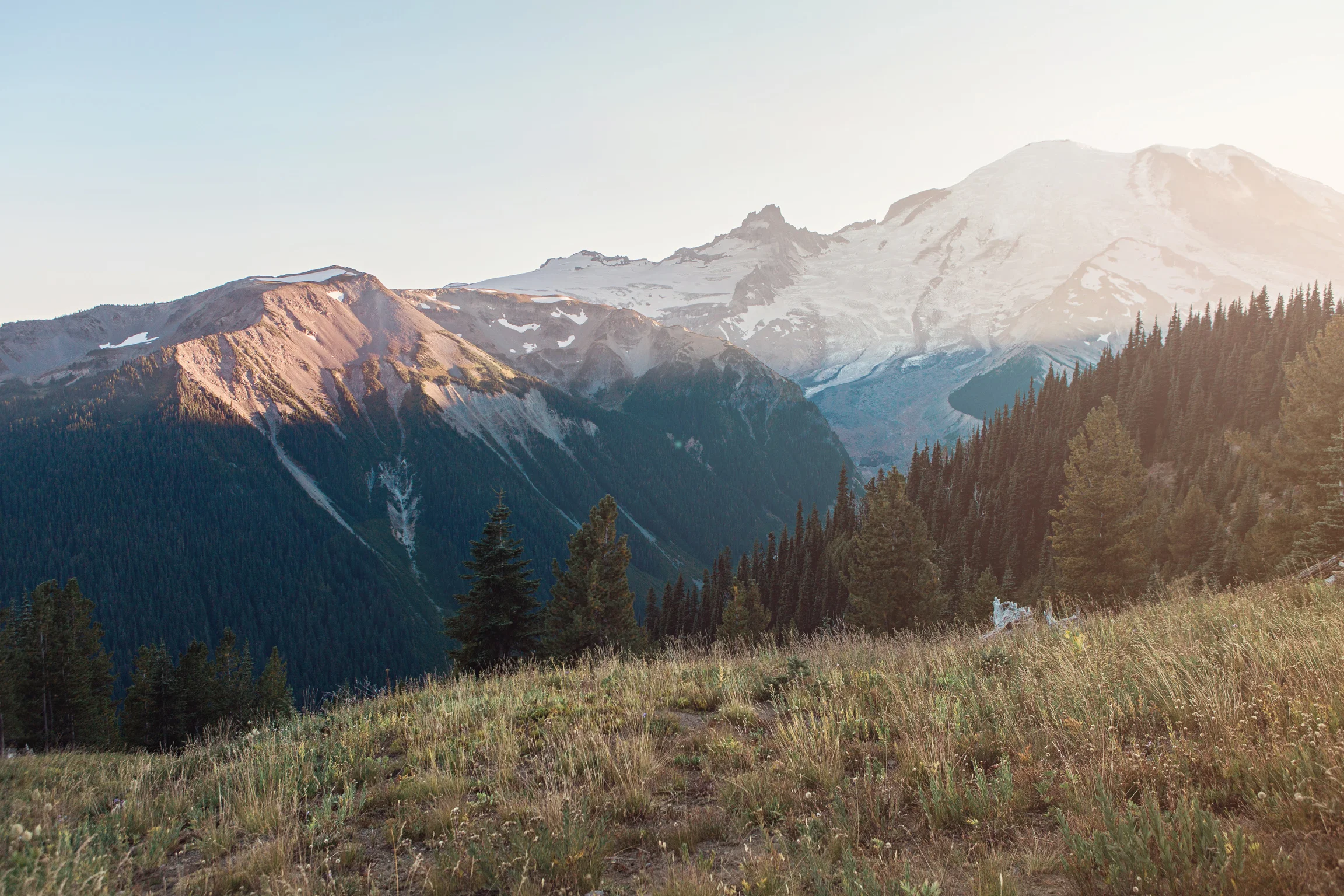 CindyGiovagnoli_MountRainierNationalPark_Washington_Seattle_PNW-015.jpg