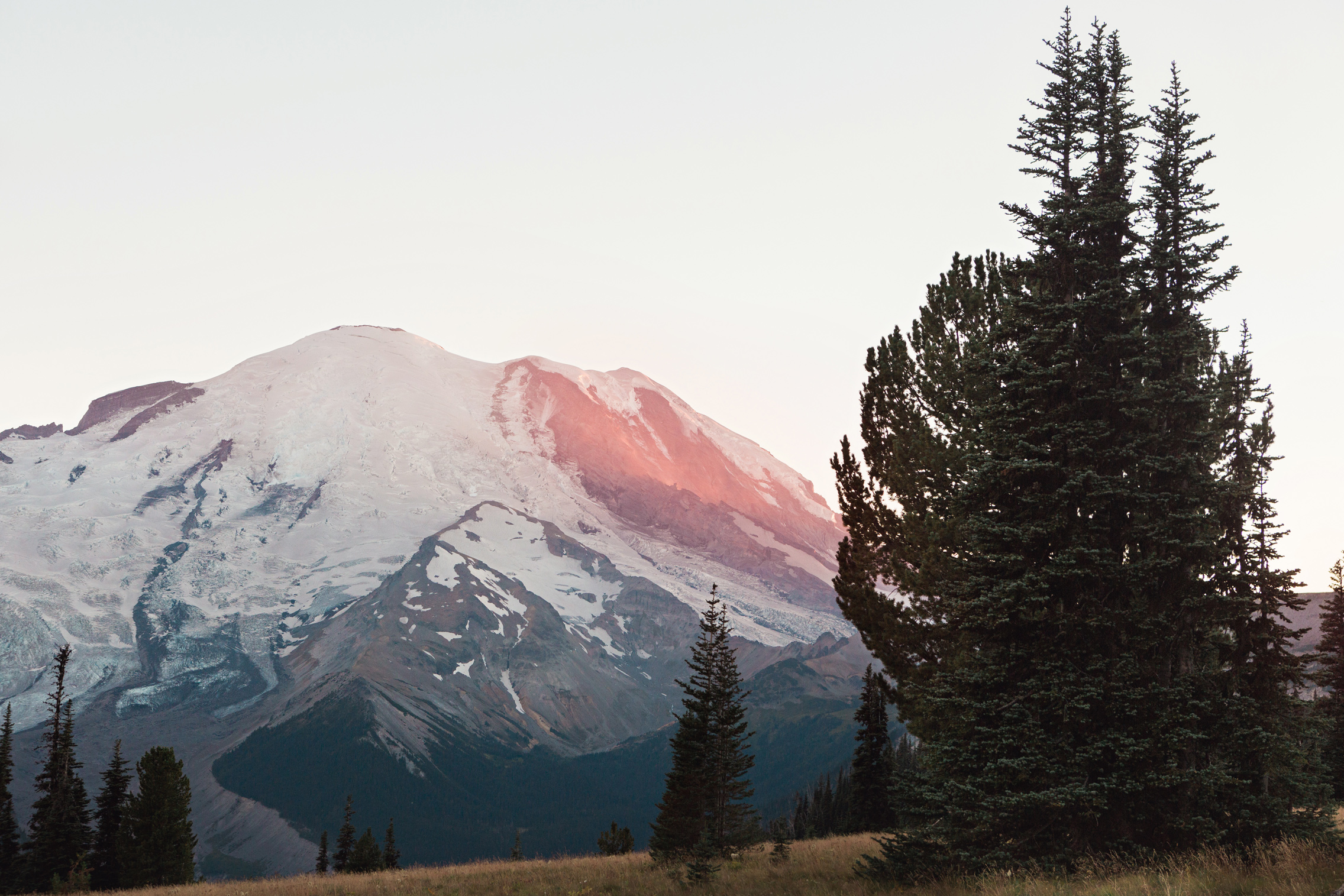 CindyGiovagnoli_MountRainierNationalPark_Washington_Seattle_PNW-019.jpg