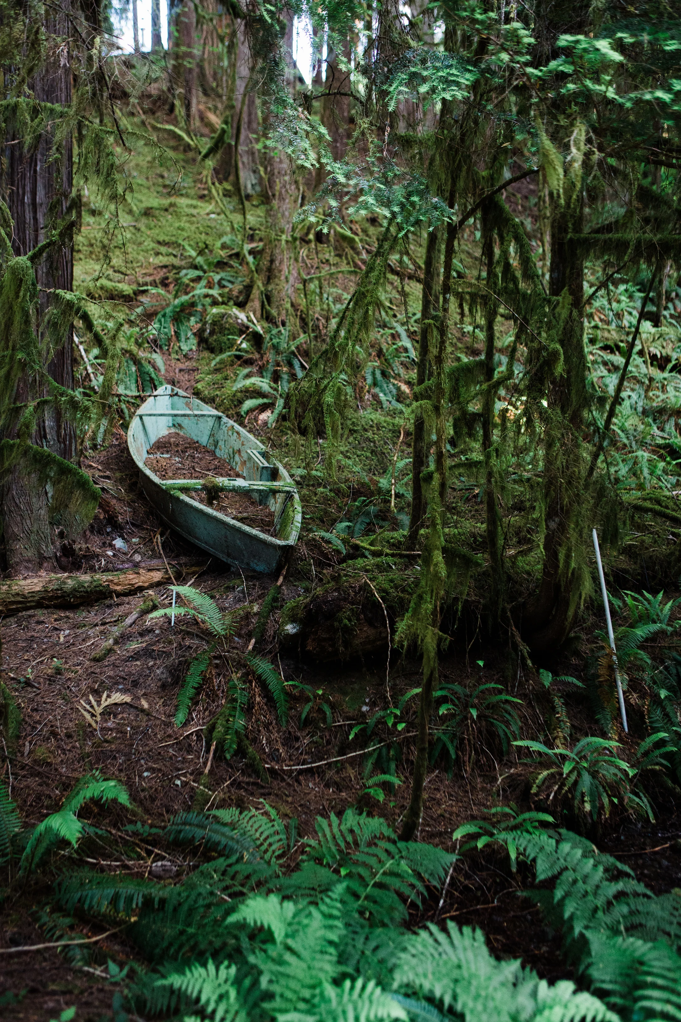 CindyGiovagnoli_NorthCascadesNationalPark_CascadeRiverPark_MtBakerSnoqualmie_Washington_PNW_Seattle_PacificNorthwest-004.jpg