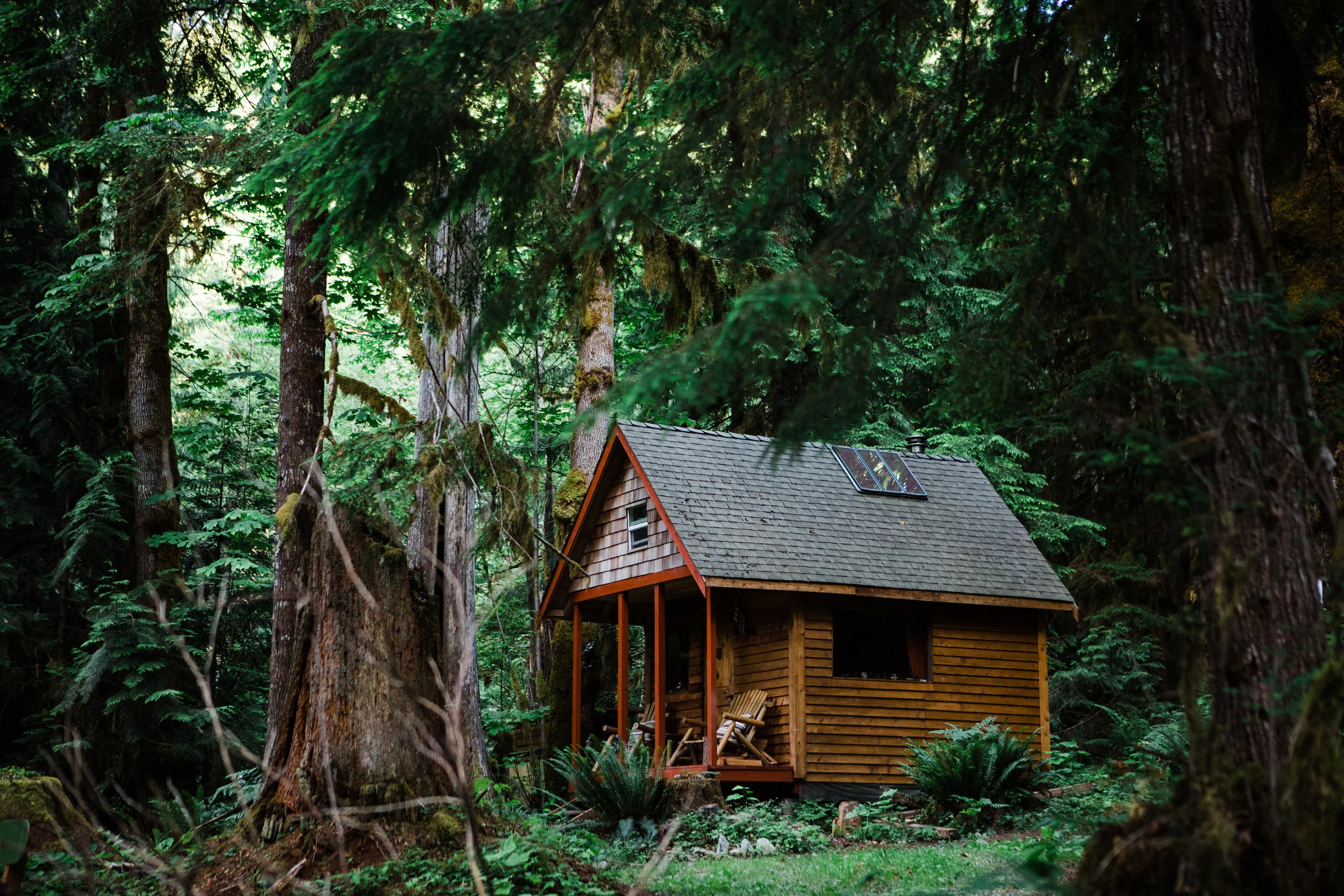 CindyGiovagnoli_NorthCascadesNationalPark_CascadeRiverPark_MtBakerSnoqualmie_Washington_PNW_Seattle_PacificNorthwest-009.jpg