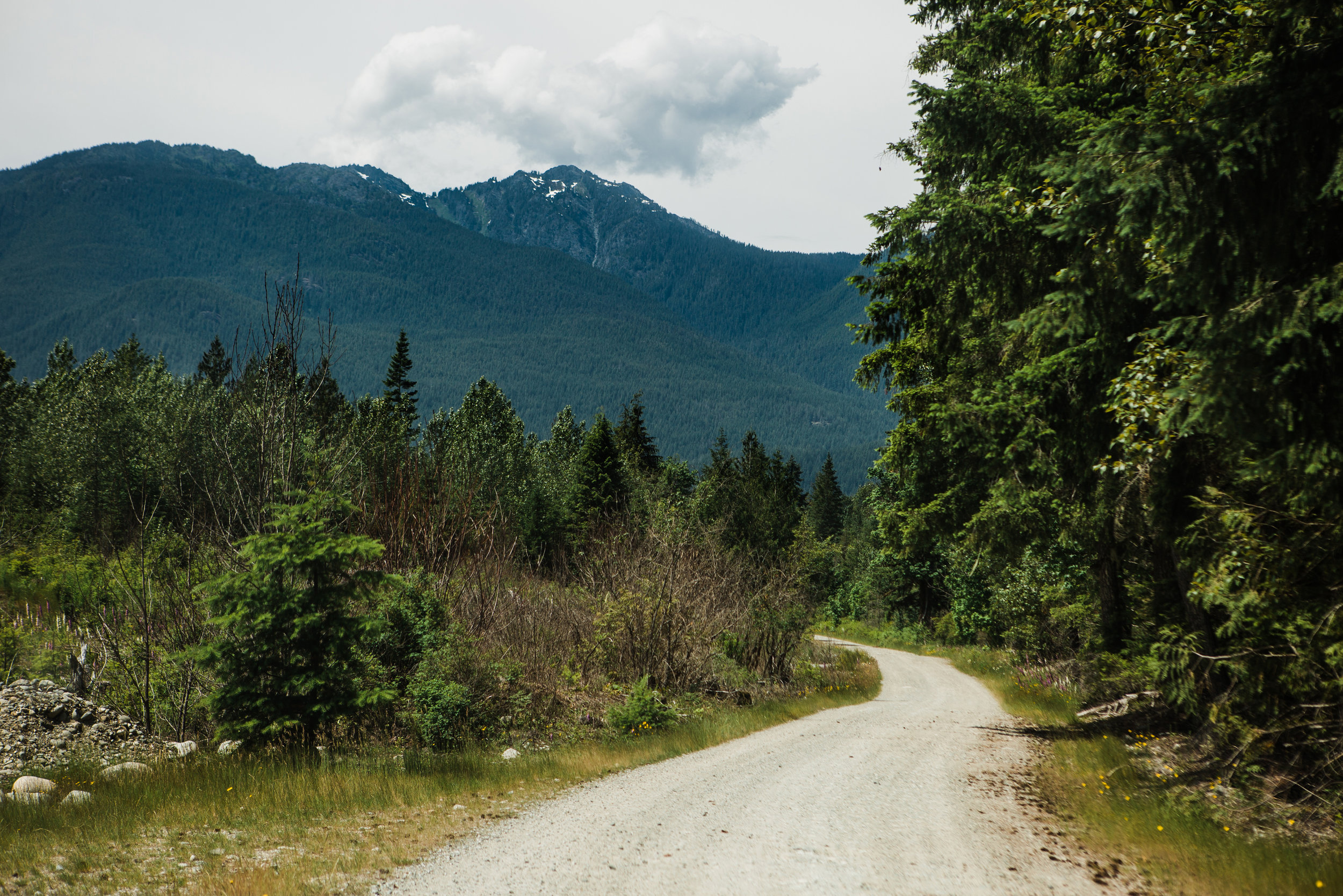 CindyGiovagnoli_NorthCascadesNationalPark_CascadeRiverPark_MtBakerSnoqualmie_Washington_PNW_Seattle_PacificNorthwest-011.jpg