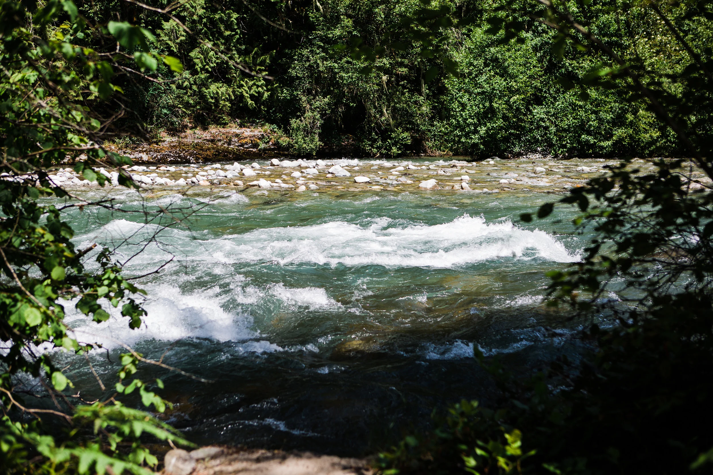 CindyGiovagnoli_NorthCascadesNationalPark_CascadeRiverPark_MtBakerSnoqualmie_Washington_PNW_Seattle_PacificNorthwest-012.jpg