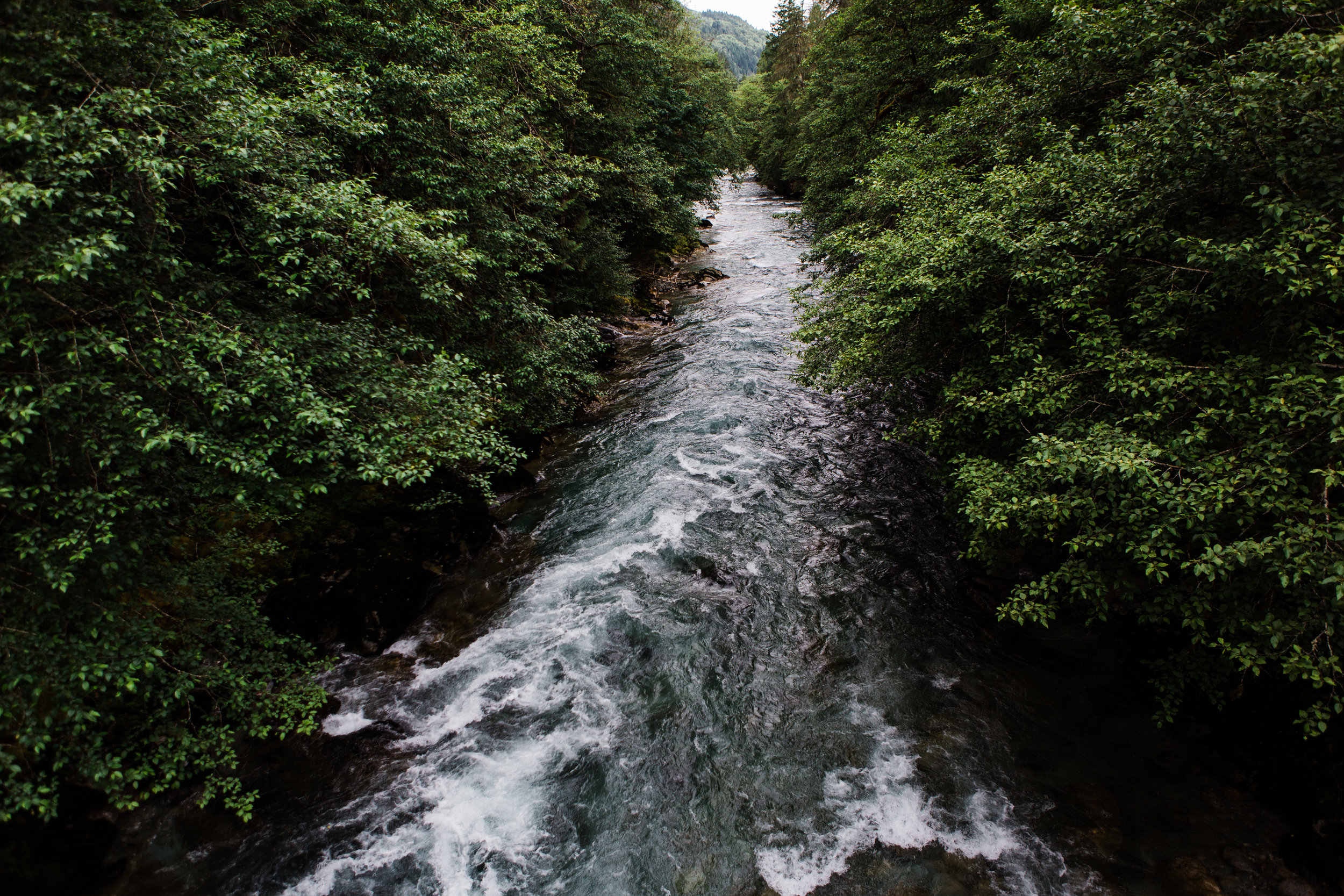 CindyGiovagnoli_NorthCascadesNationalPark_CascadeRiverPark_MtBakerSnoqualmie_Washington_PNW_Seattle_PacificNorthwest-020.jpg