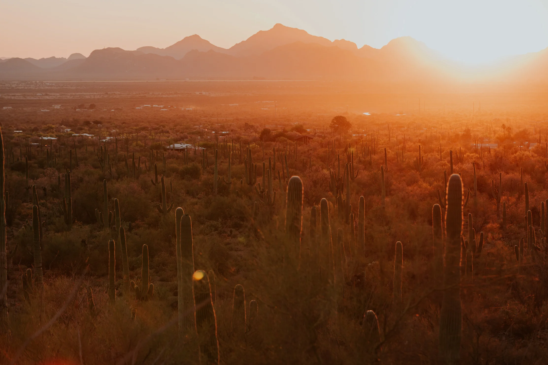 2018_Tucson_May4-108.jpg