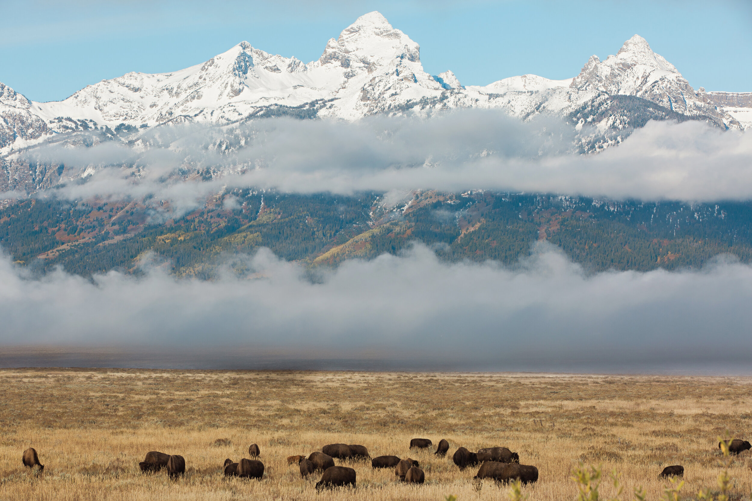 CindyGiovagnoli_Road_Trip_Travel_National_Parks_Explore_America-033.jpg