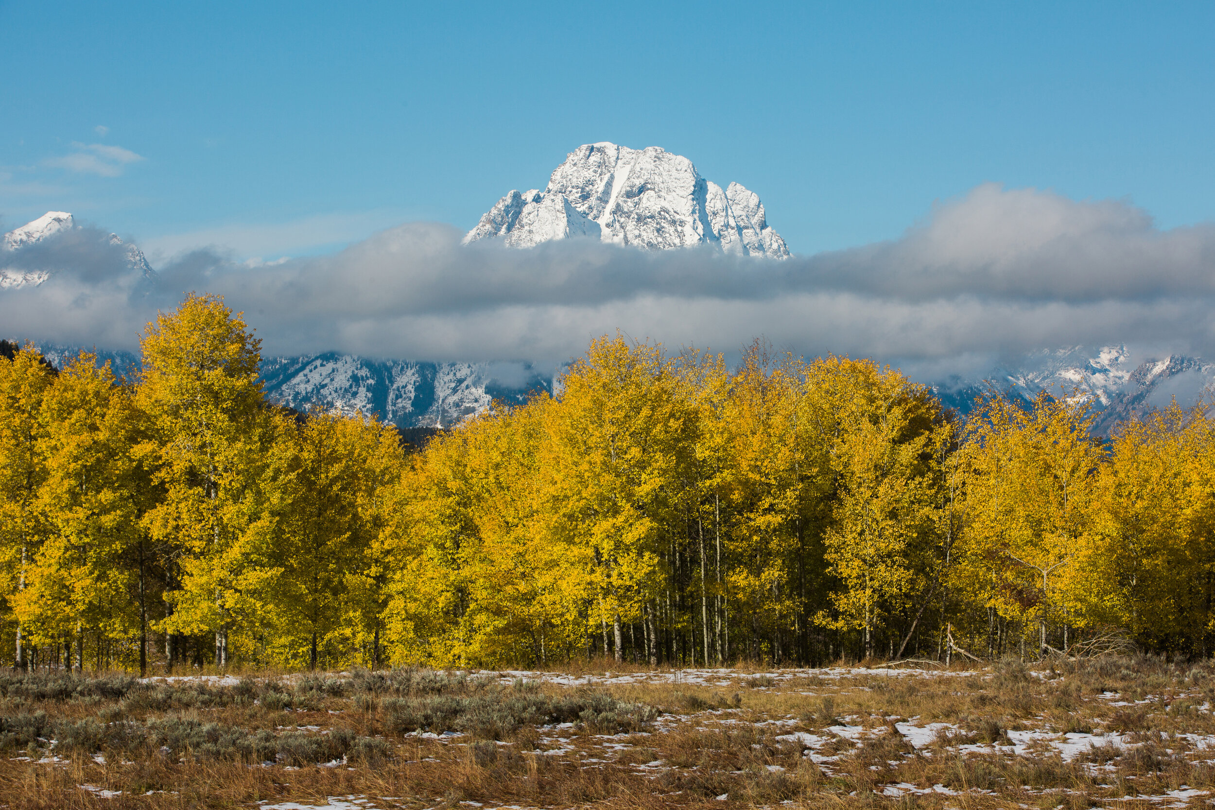 CindyGiovagnoli_Road_Trip_Travel_National_Parks_Explore_America-040.jpg