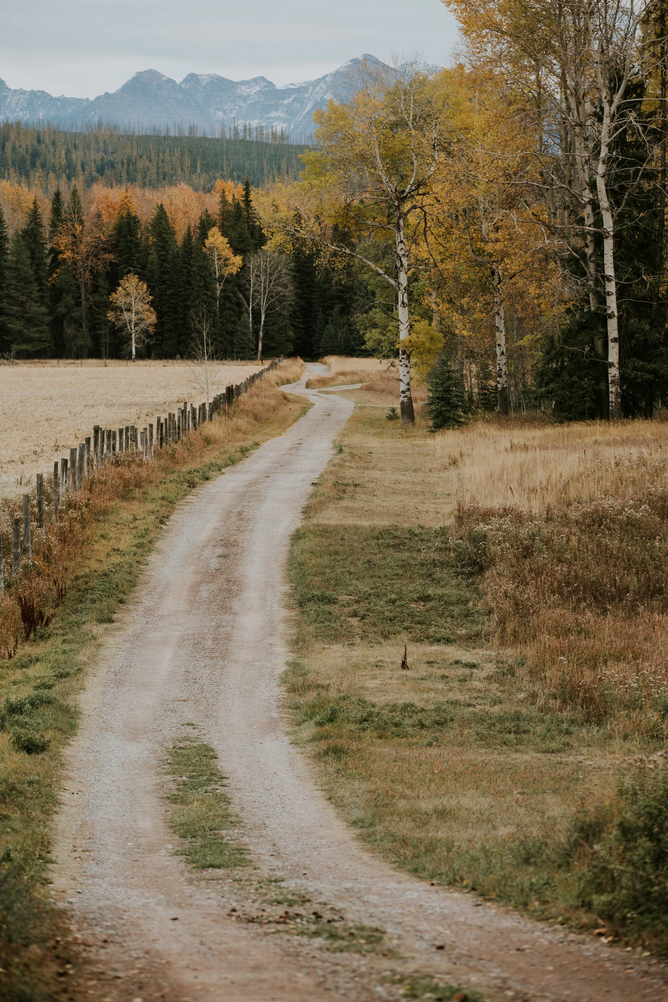 CindyGiovagnoli_Road_Trip_Travel_National_Parks_Explore_America-046.jpg
