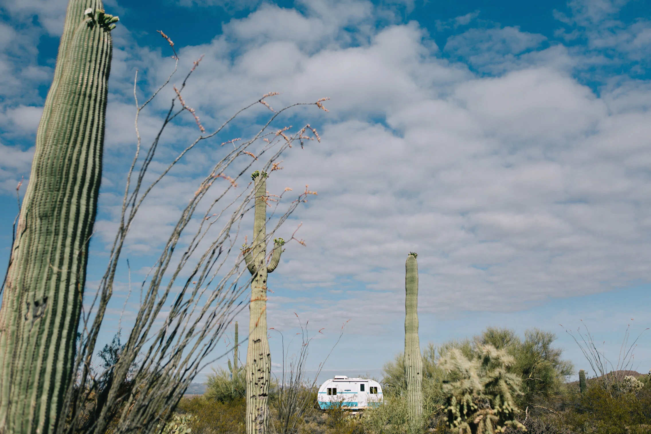 CindyGiovagnoli_Road_Trip_Travel_National_Parks_Explore_America-054.jpg