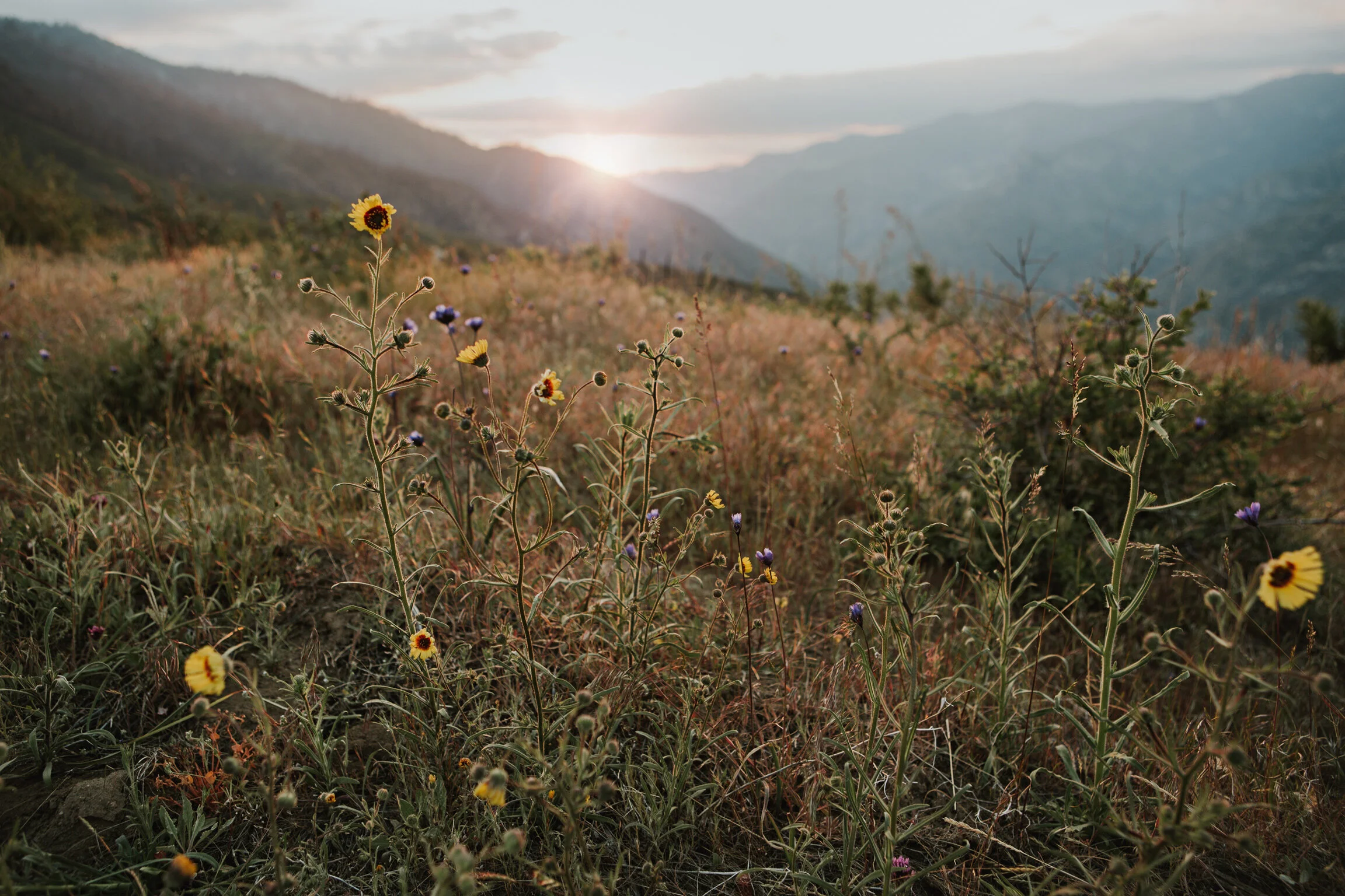 CindyGiovagnoli_Road_Trip_Travel_National_Parks_Explore_America-080.jpg