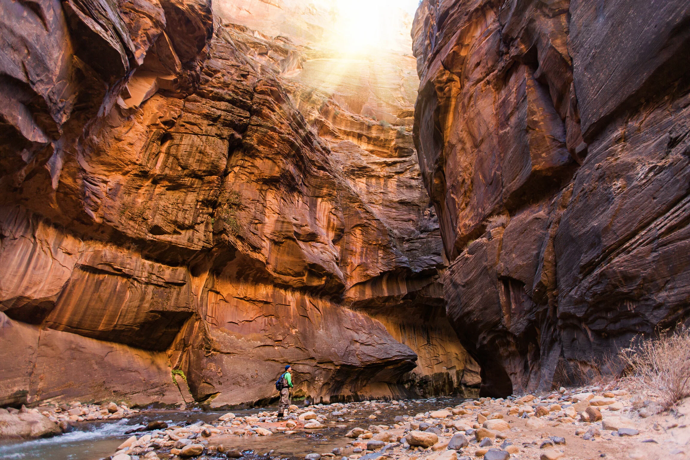 CindyGiovagnoli_Road_Trip_Travel_National_Parks_Explore_America-083.jpg