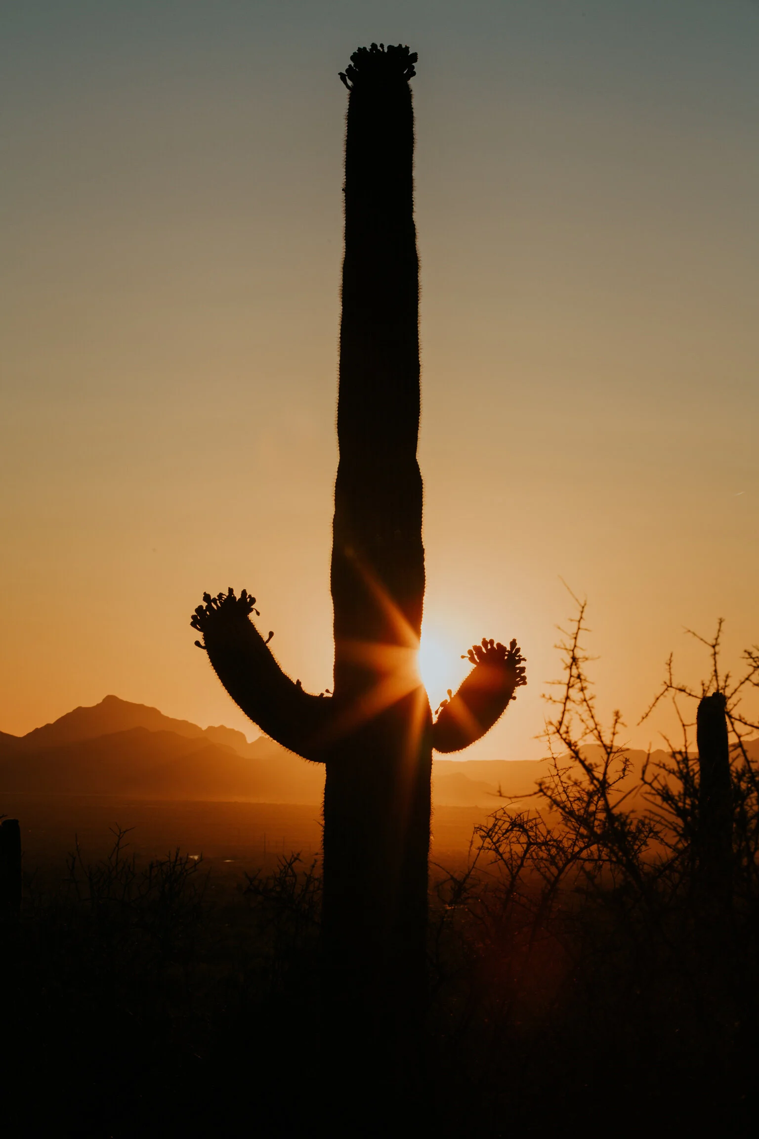 CindyGiovagnoli_Road_Trip_Travel_National_Parks_Explore_America-088.jpg