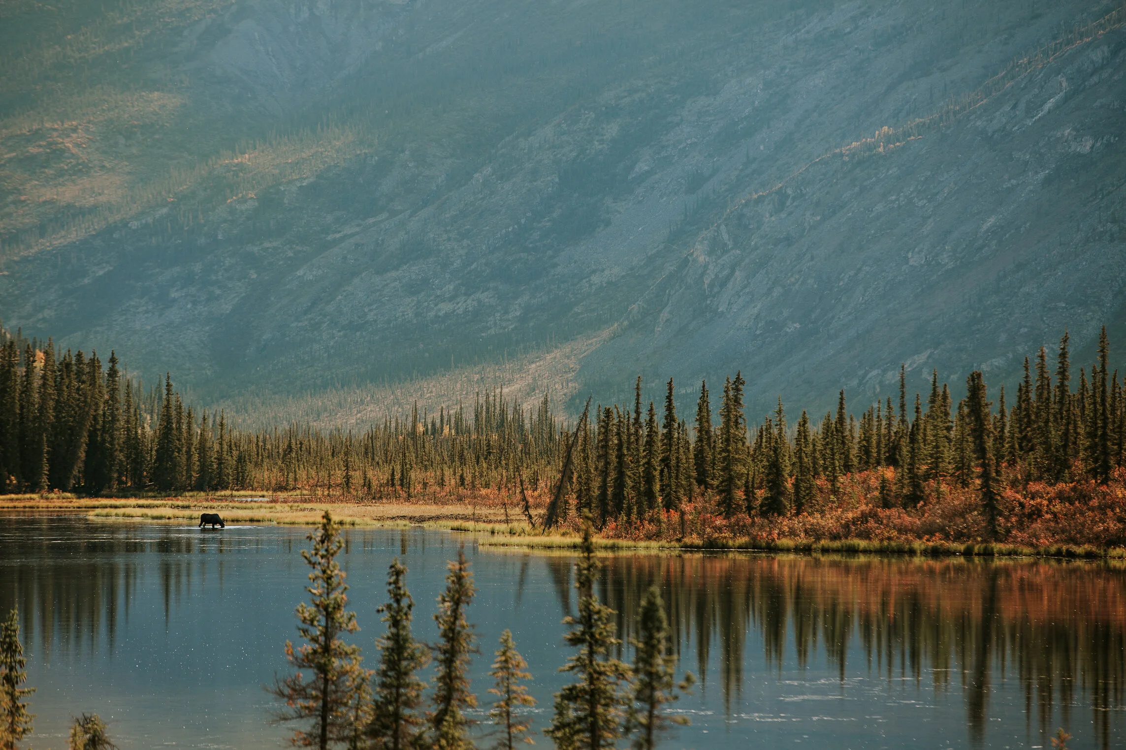 CindyGiovagnoli_Road_Trip_Travel_National_Parks_Explore_America-098.jpg