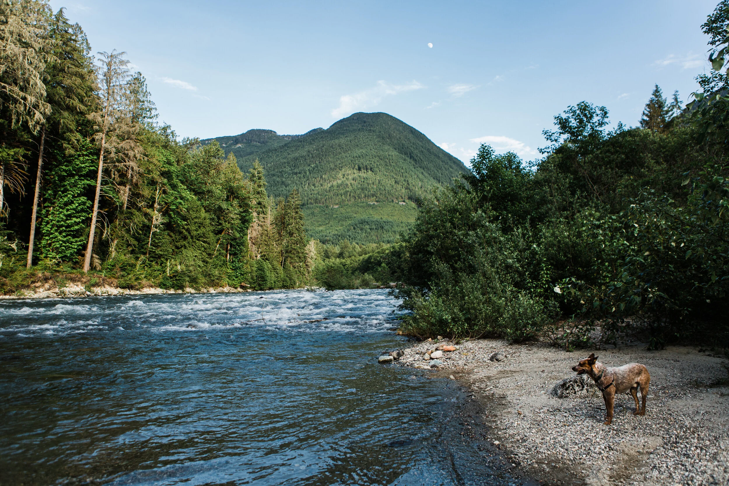 CindyGiovagnoli_Road_Trip_Travel_National_Parks_Explore_America-121.jpg
