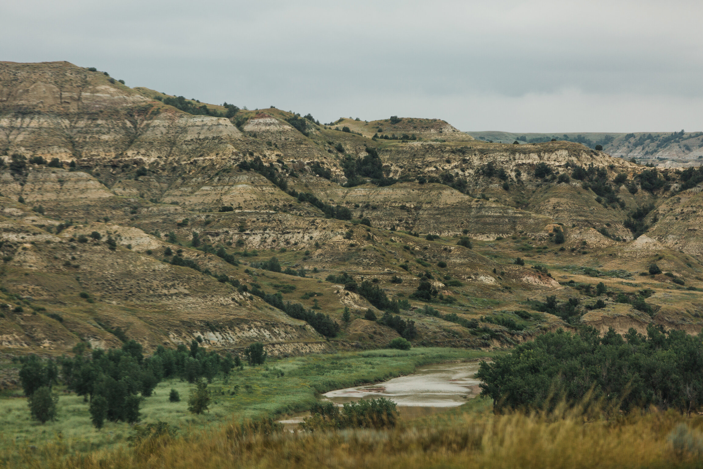 CindyGiovagnoli_Theadore_Roosevelt_National_Park_Glacier_North_Dakota_Montana-005.jpg