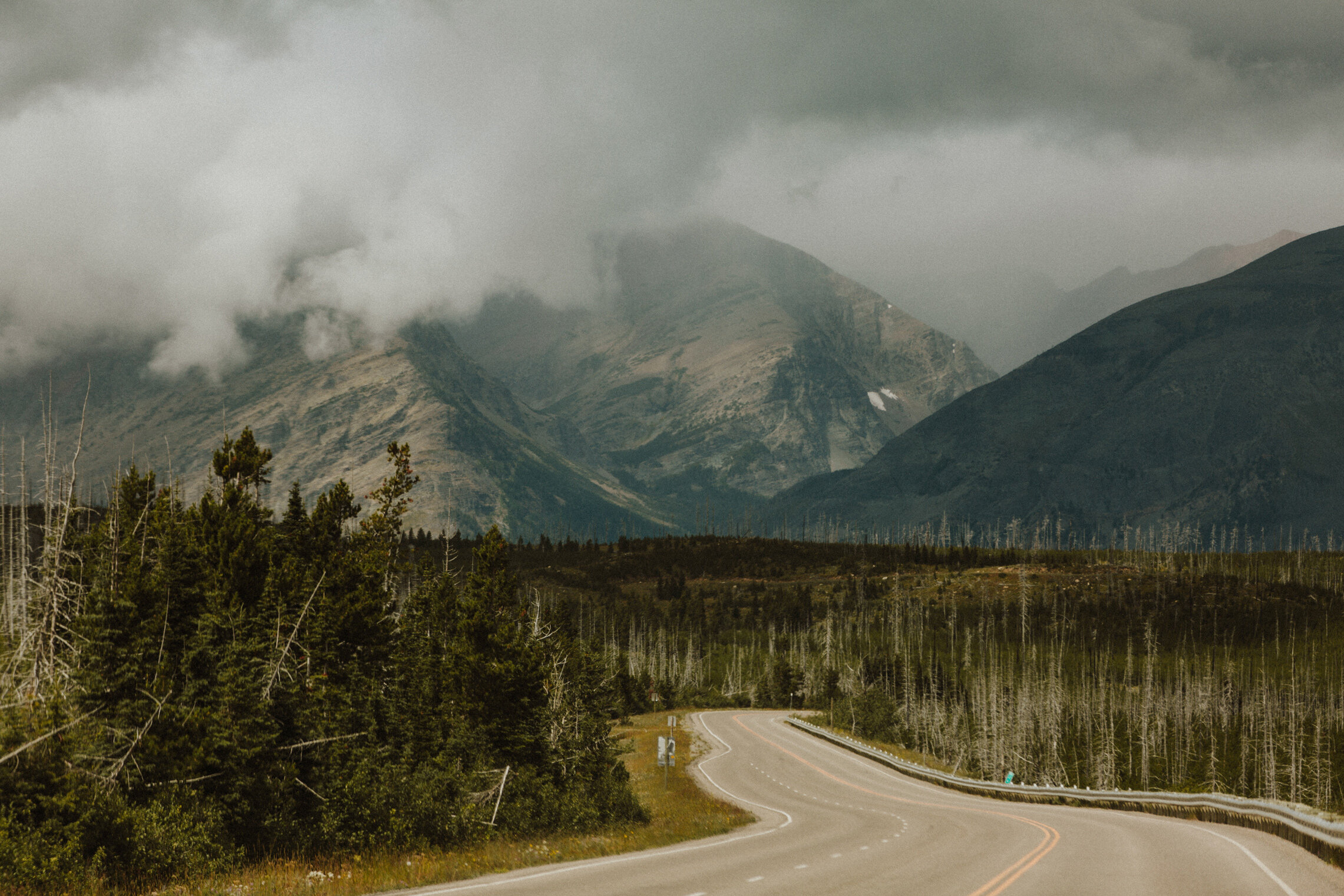 CindyGiovagnoli_Theadore_Roosevelt_National_Park_Glacier_North_Dakota_Montana-017.jpg