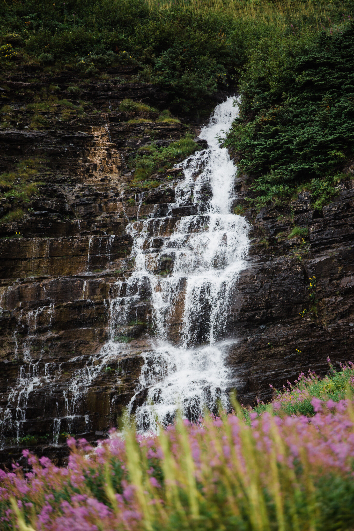 CindyGiovagnoli_Theadore_Roosevelt_National_Park_Glacier_North_Dakota_Montana-020.jpg