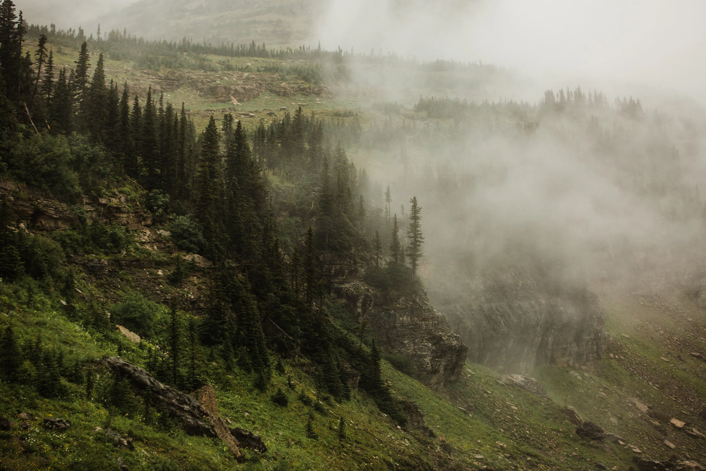 CindyGiovagnoli_Theadore_Roosevelt_National_Park_Glacier_North_Dakota_Montana-023.jpg