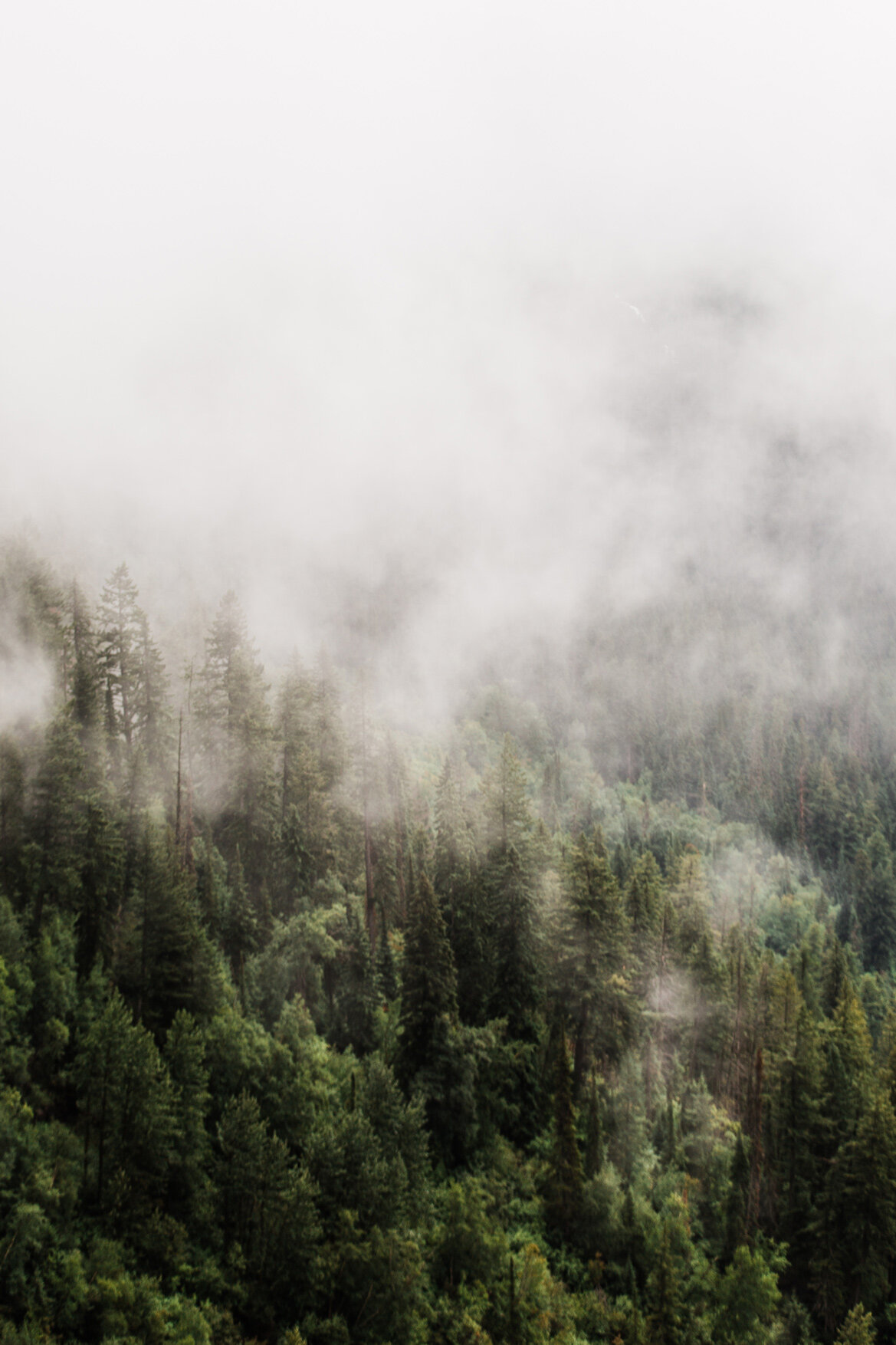 CindyGiovagnoli_Theadore_Roosevelt_National_Park_Glacier_North_Dakota_Montana-026.jpg