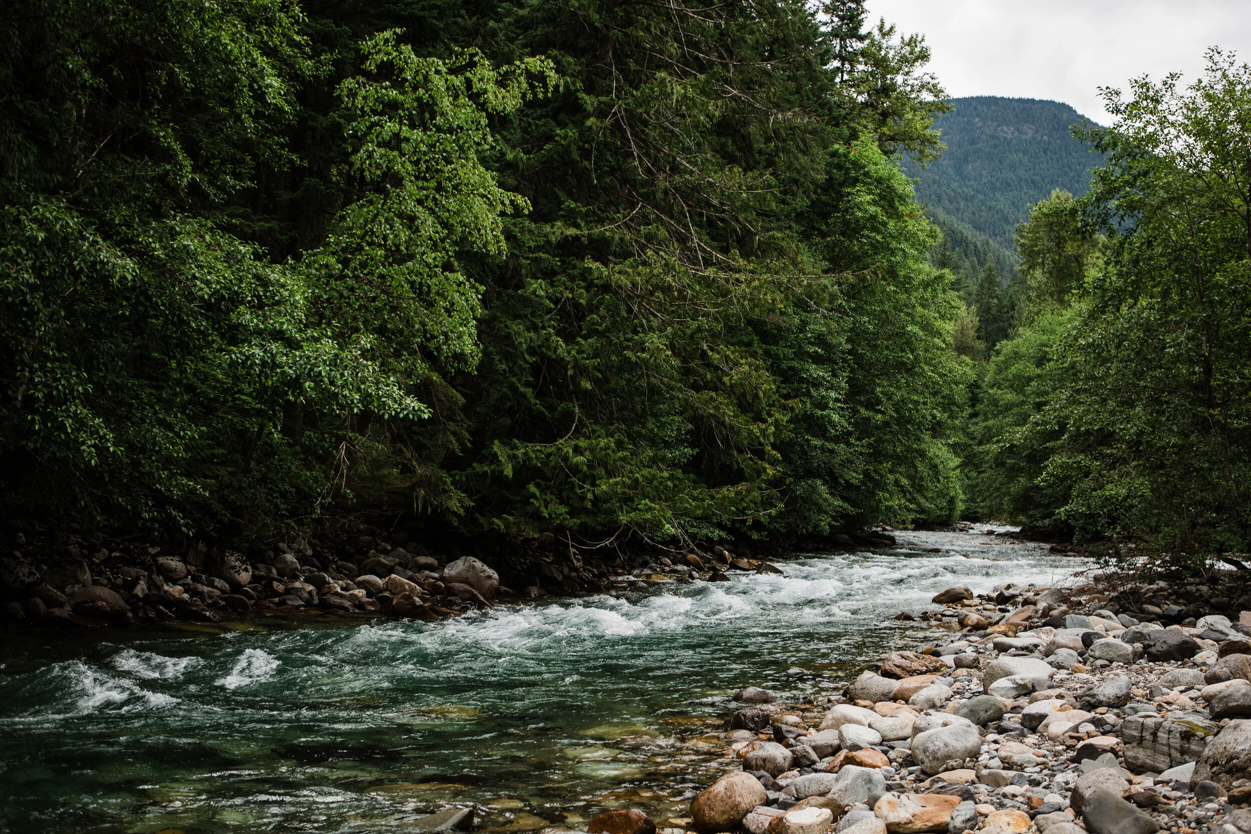 CindyGiovagnoli_North_Cascades_Washington_Nation_Park_camping_outdoors-005.jpg