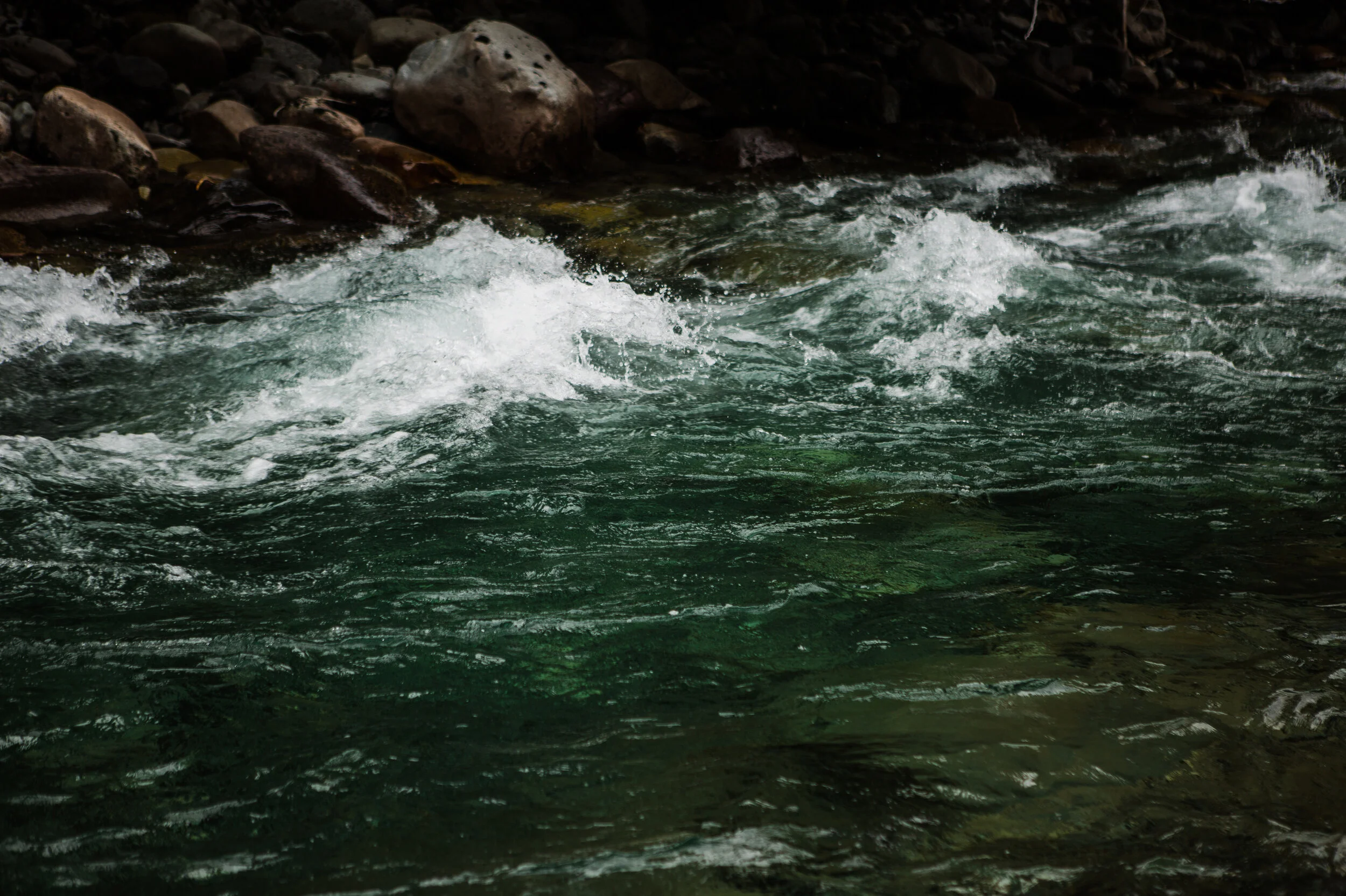 CindyGiovagnoli_North_Cascades_Washington_Nation_Park_camping_outdoors-007.jpg