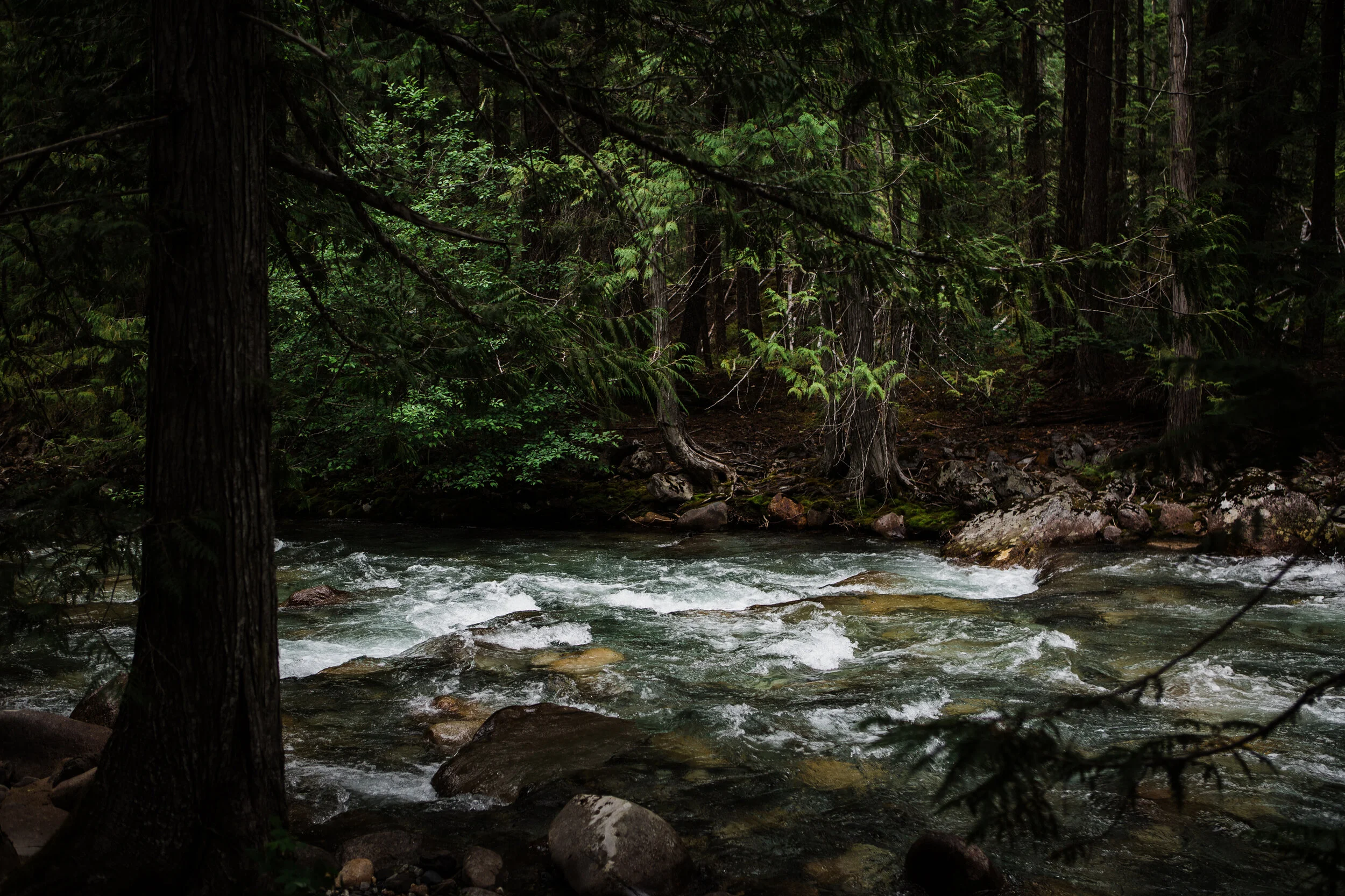 CindyGiovagnoli_North_Cascades_Washington_Nation_Park_camping_outdoors-010.jpg
