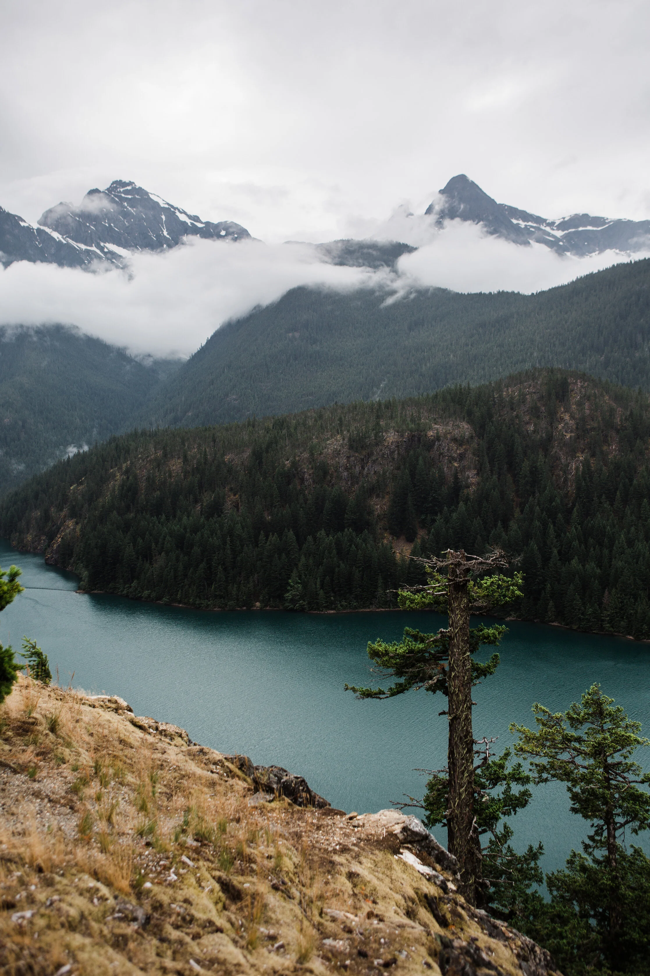 CindyGiovagnoli_North_Cascades_Washington_Nation_Park_camping_outdoors-013.jpg