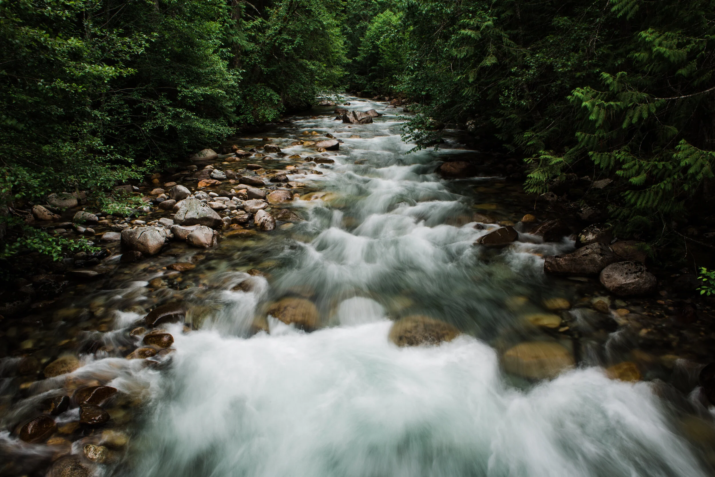 CindyGiovagnoli_North_Cascades_Washington_Nation_Park_camping_outdoors-017.jpg
