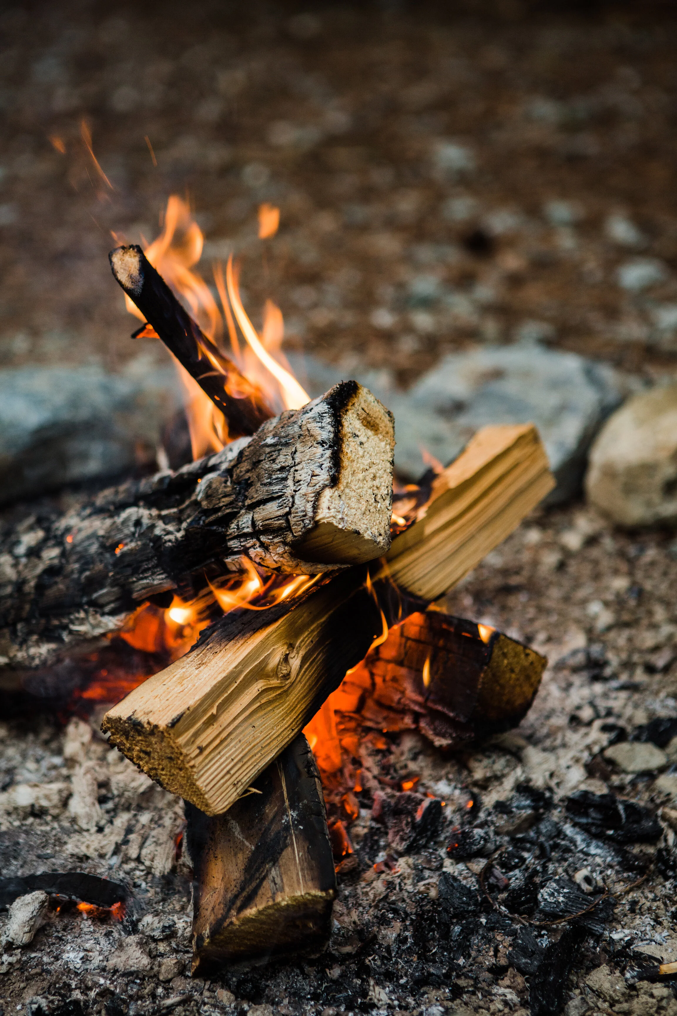 CindyGiovagnoli_North_Cascades_Washington_Nation_Park_camping_outdoors-020.jpg
