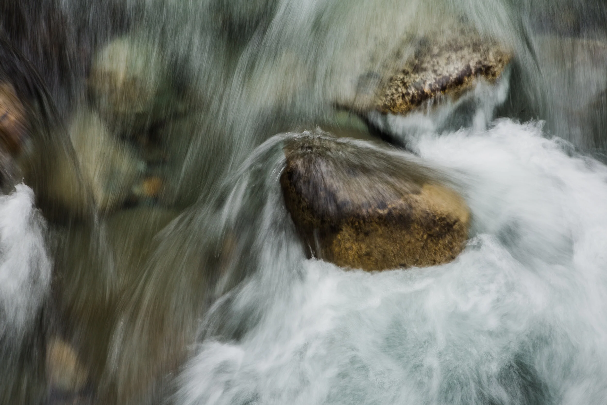 Momentum