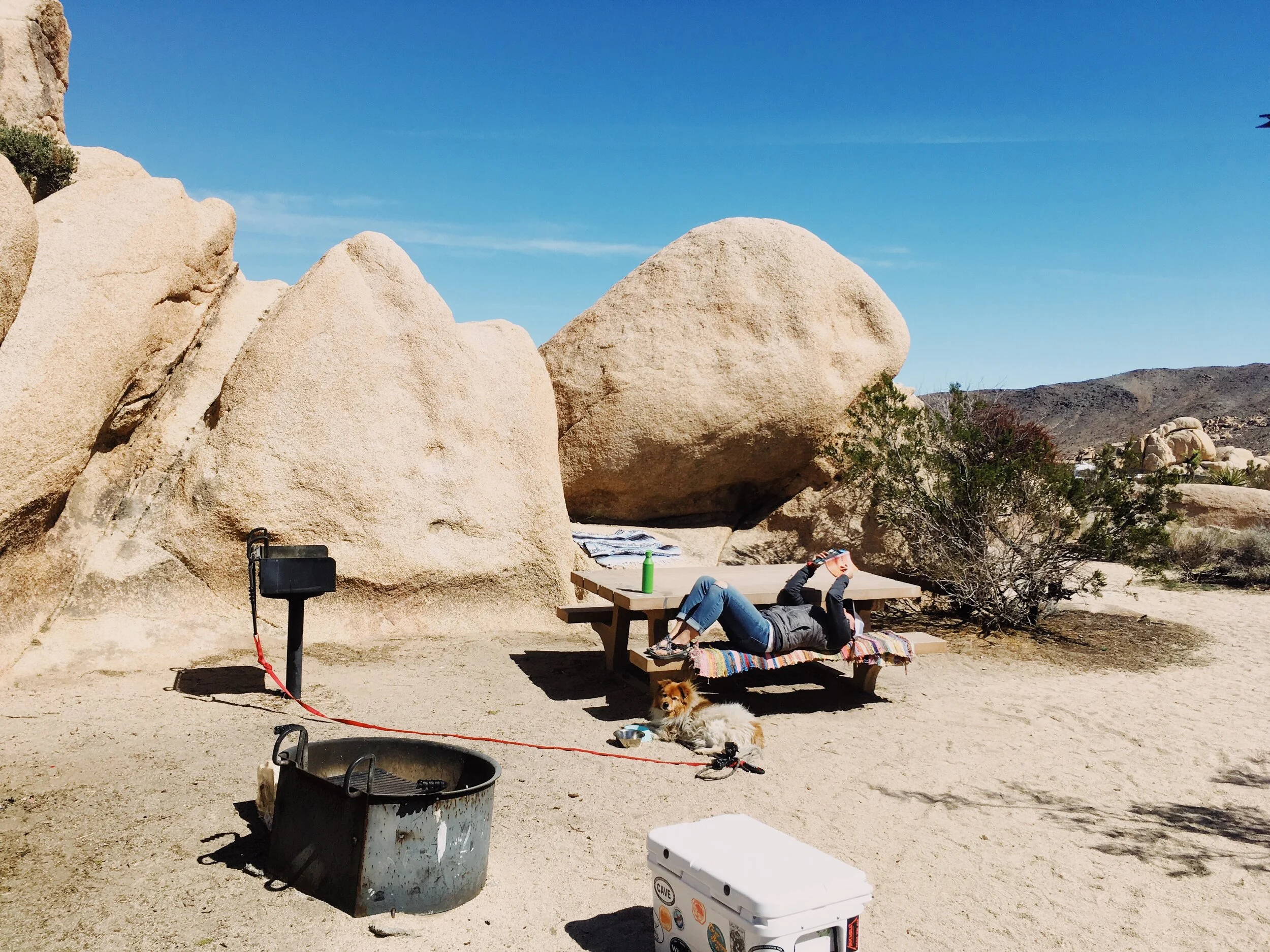 Storytelling Matters