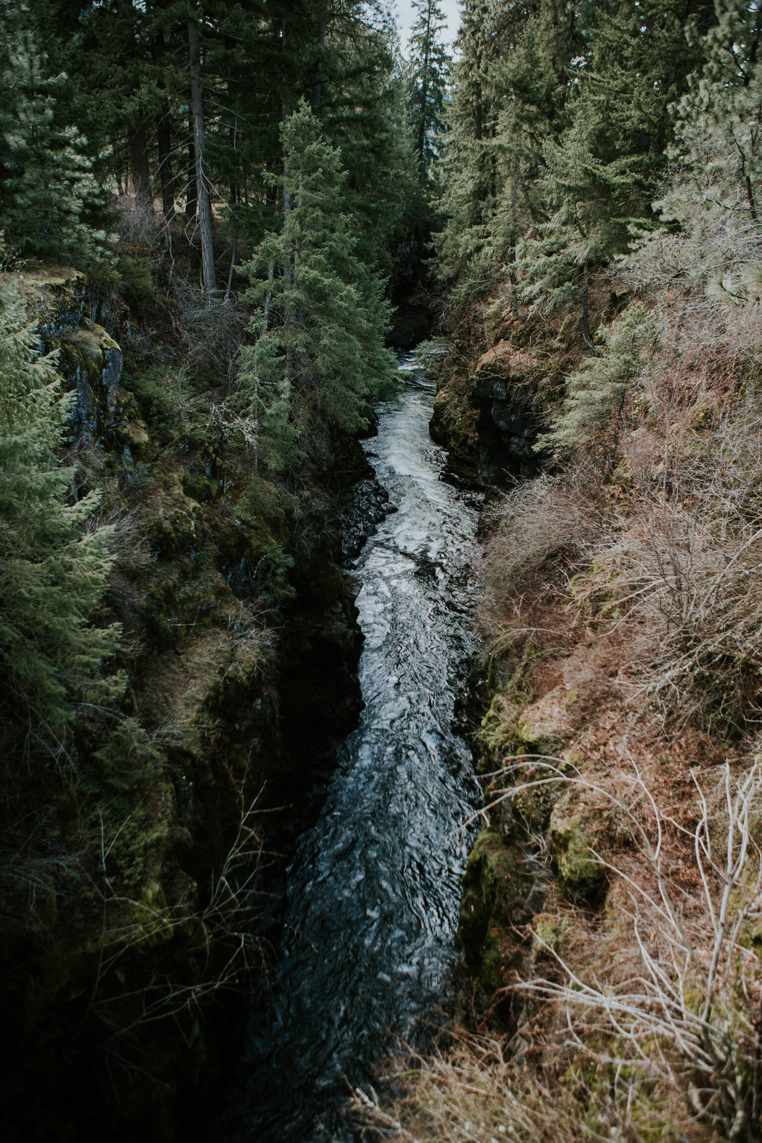 2021_ColumbiaRiverGorge_March17-011.jpg