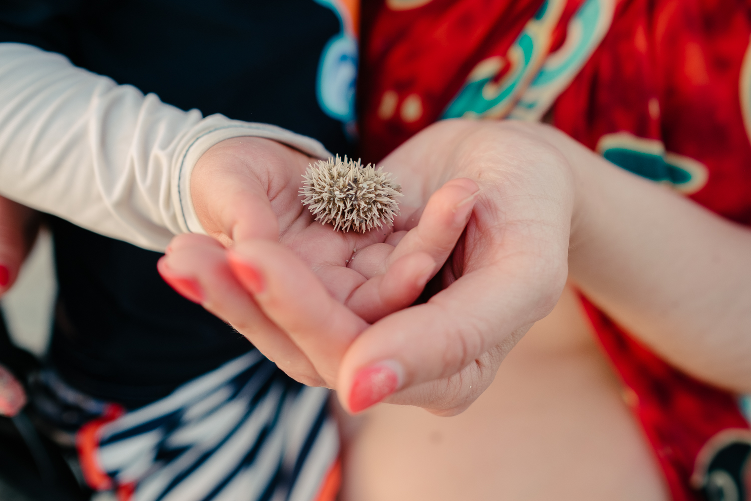  My son meeting his first sea urchin in Varadero, Cuba 2015. 