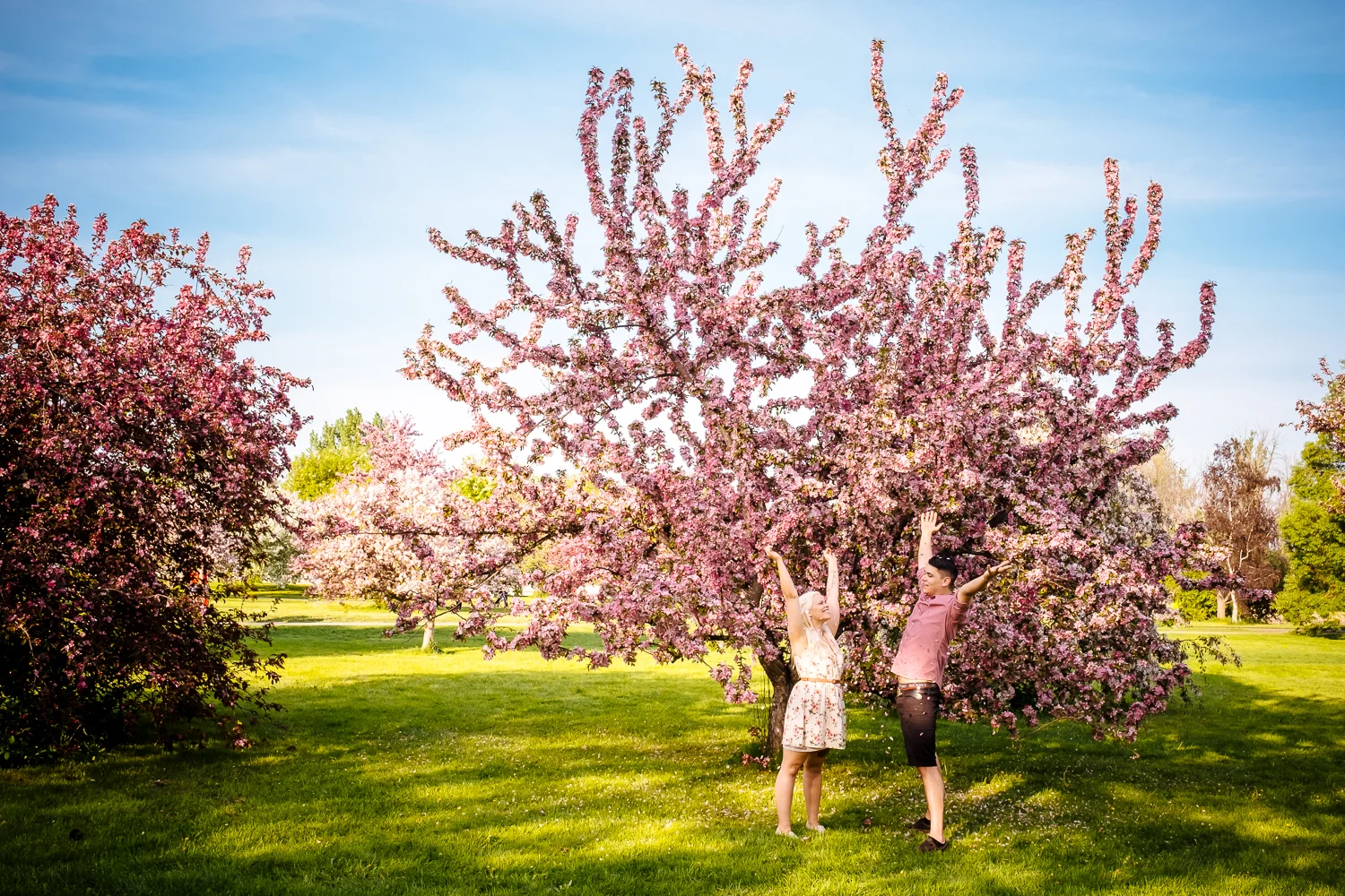 Engagement Session - Dominion Arboretum in Ottawa.