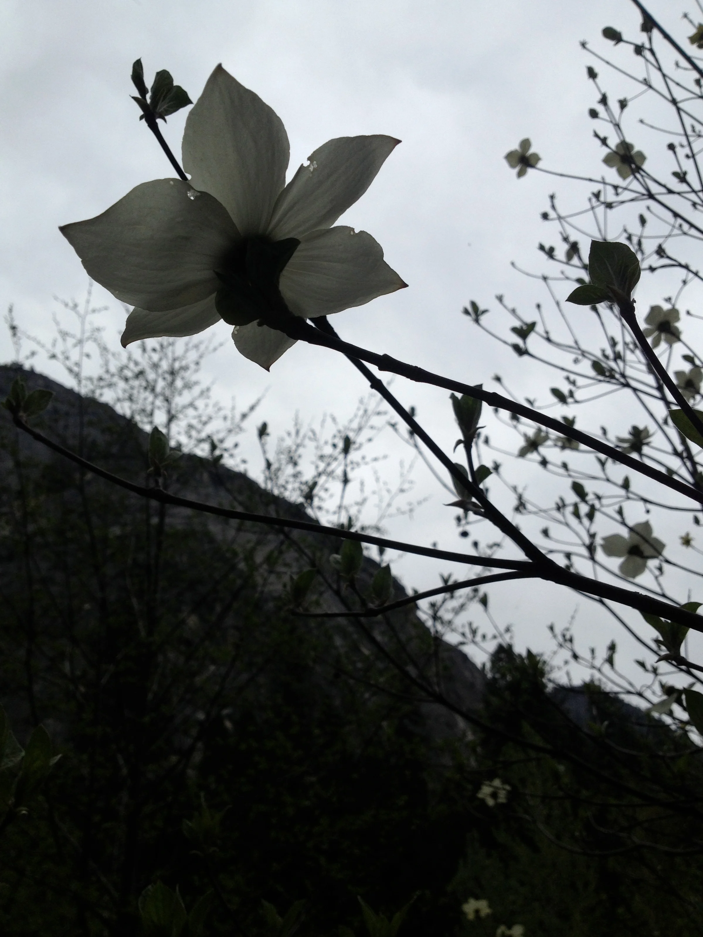 IMG_8253 - Version 2.jpg
