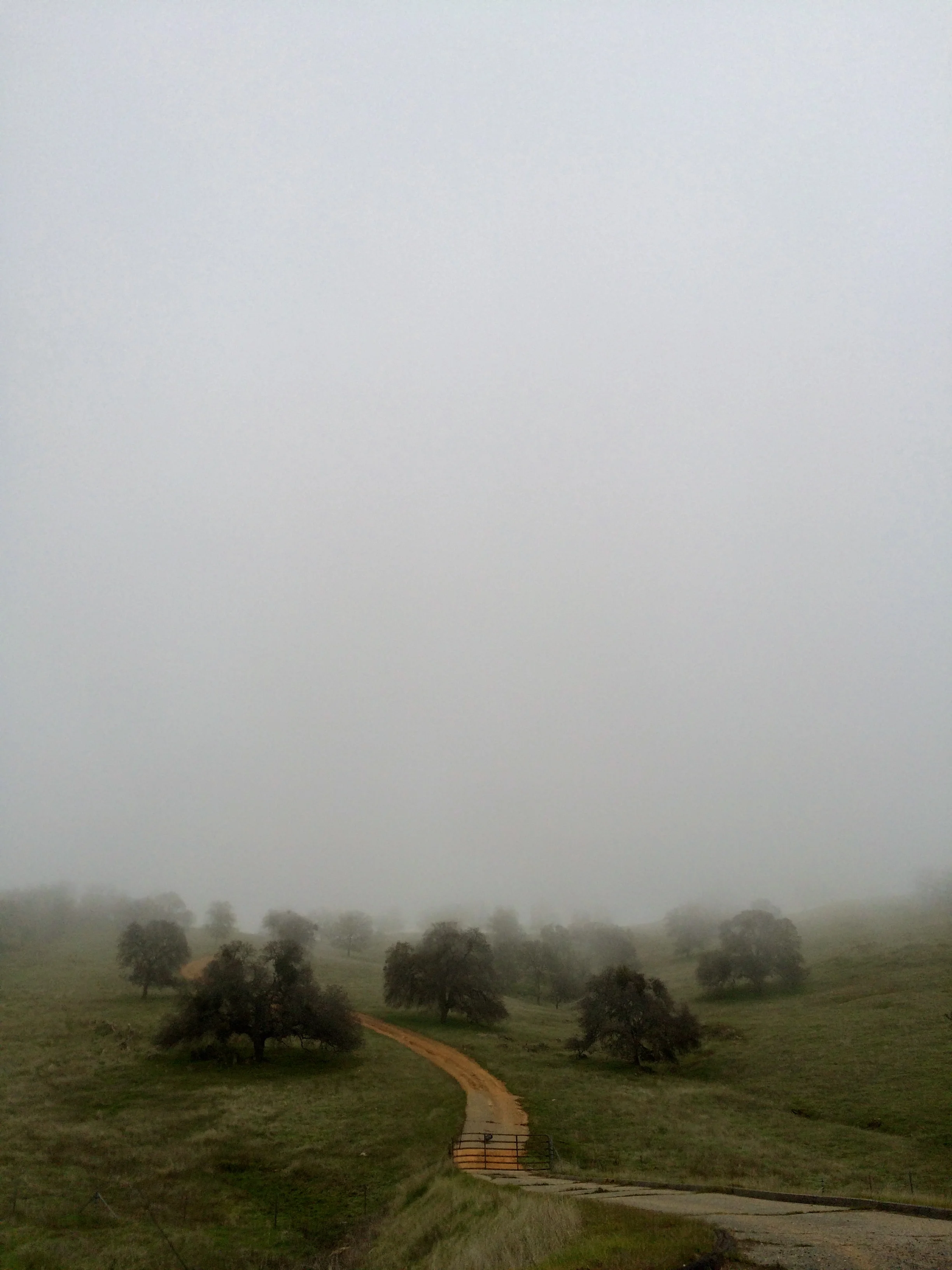 IMG_0421 - Version 2.jpg