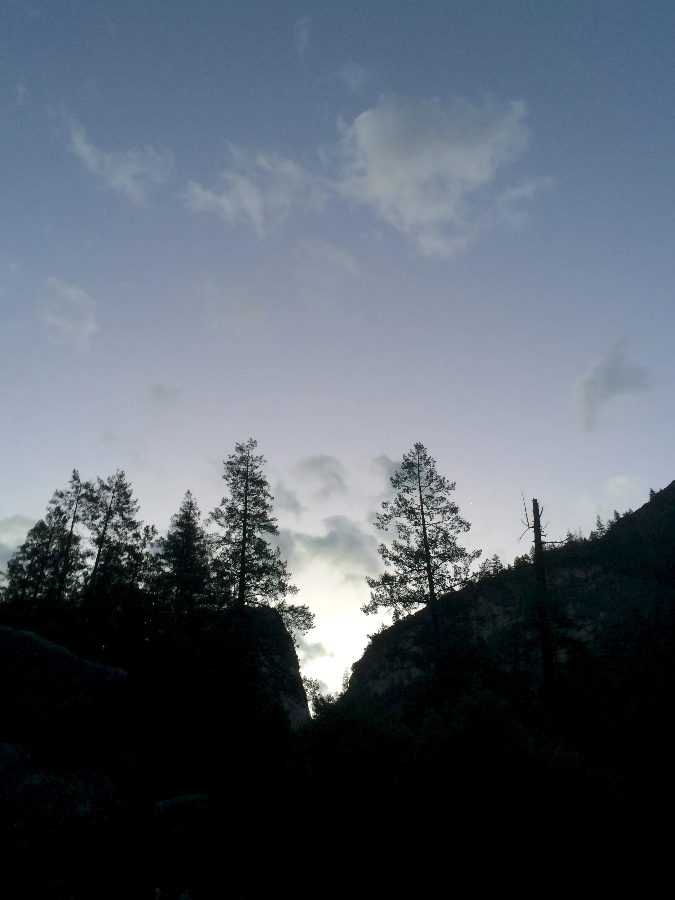 The grainily dawning dawn.