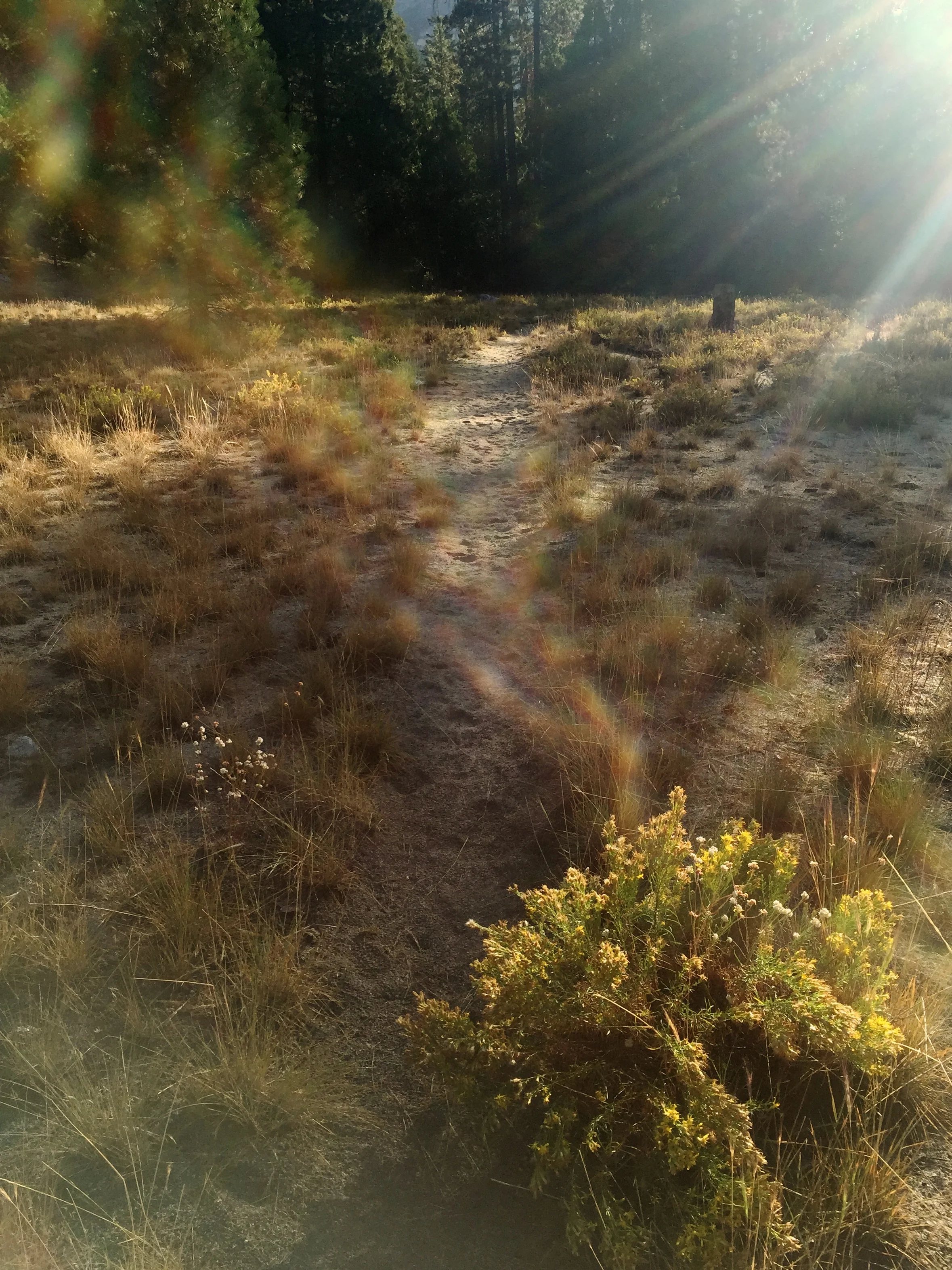 The road diverged.