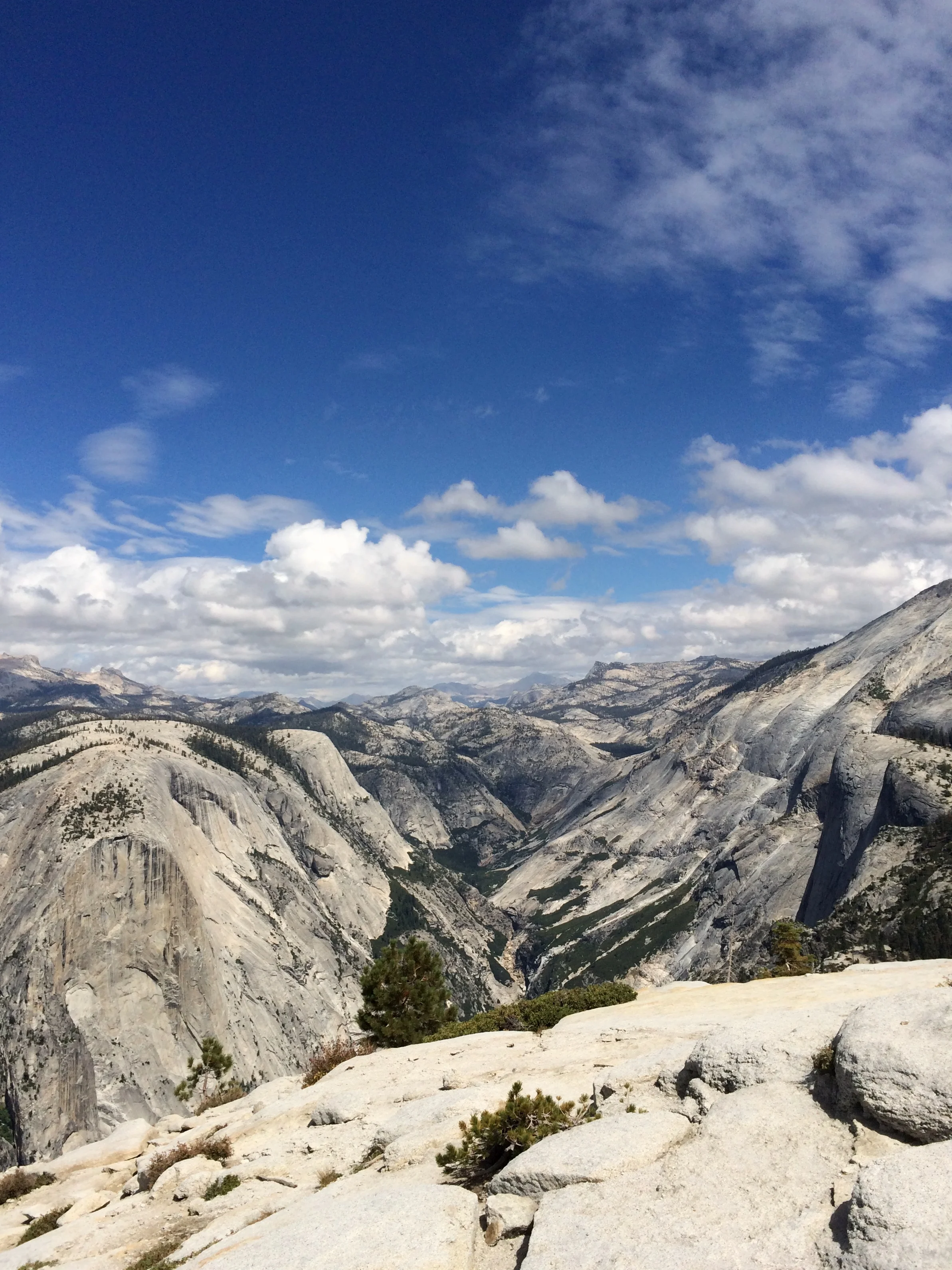 One vista of many.