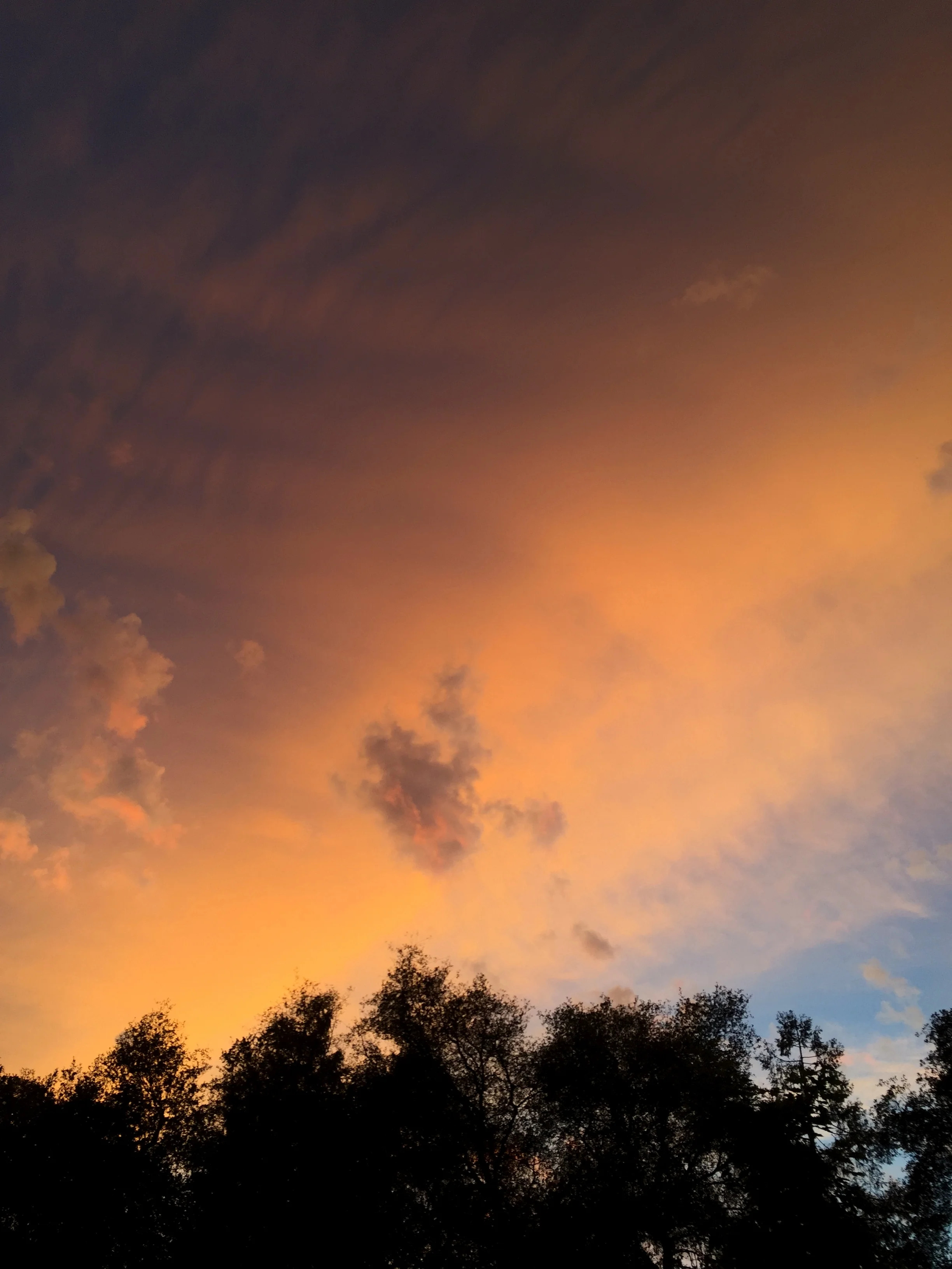 Superlative skies.