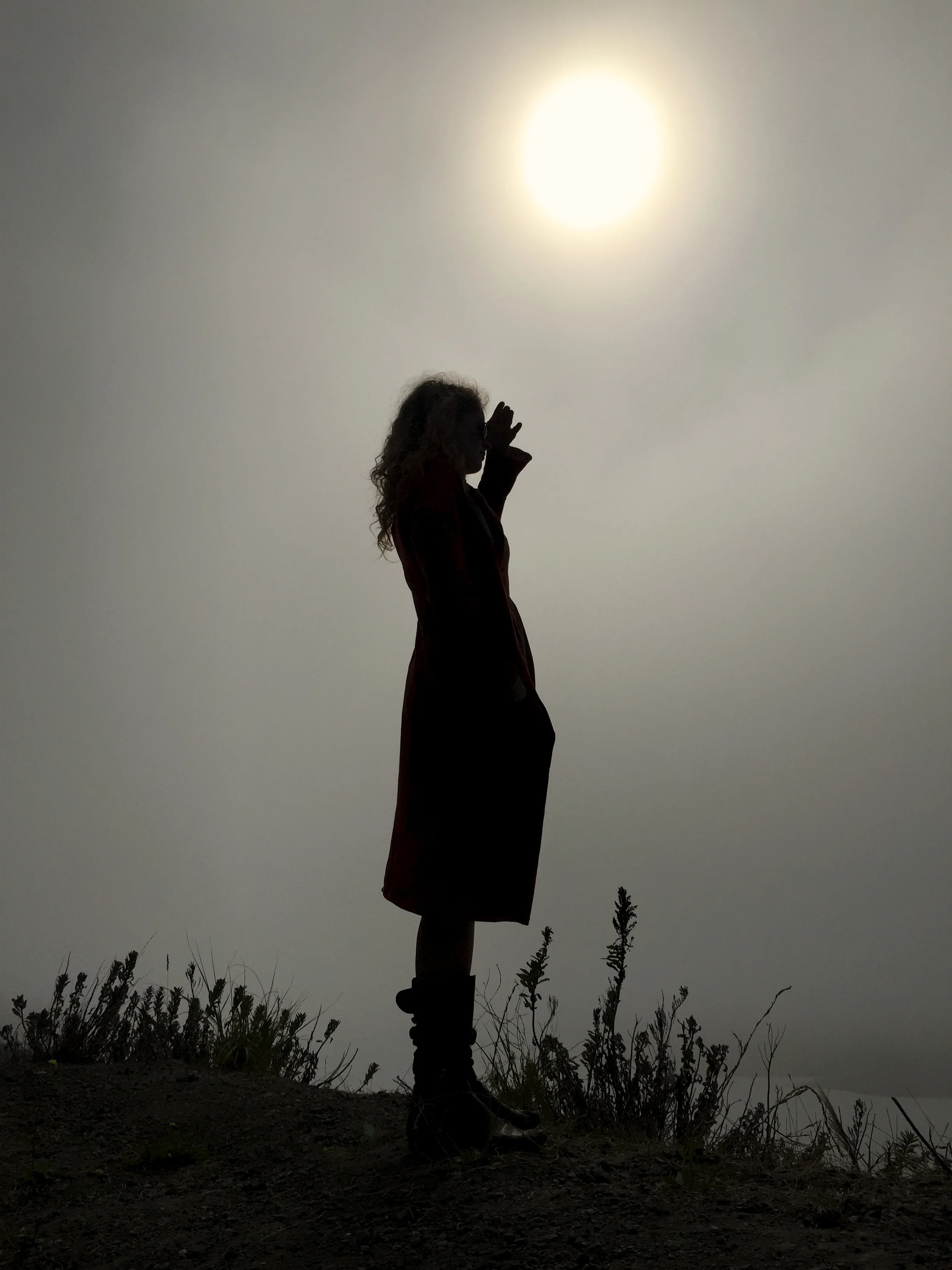 This photo of R's reminds me of some groovy seventies silhouette artwork.