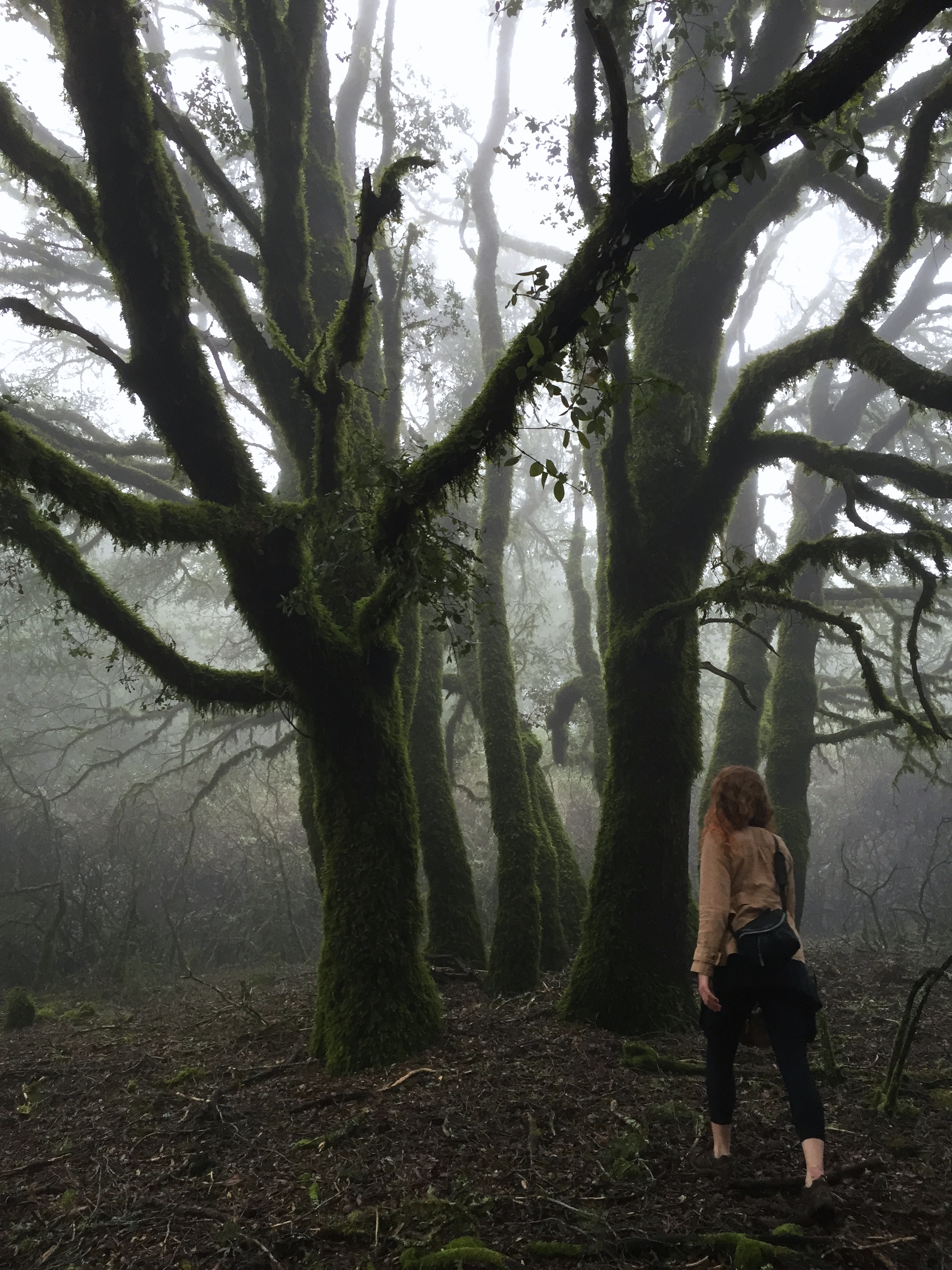 Revisiting my witch bays.